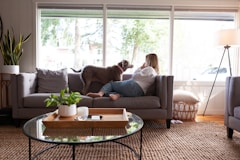 Dog and woman are relaxing in a living room.