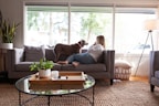 Dog and woman are relaxing in a living room.