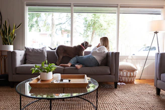 Dog and woman are relaxing in a living room.