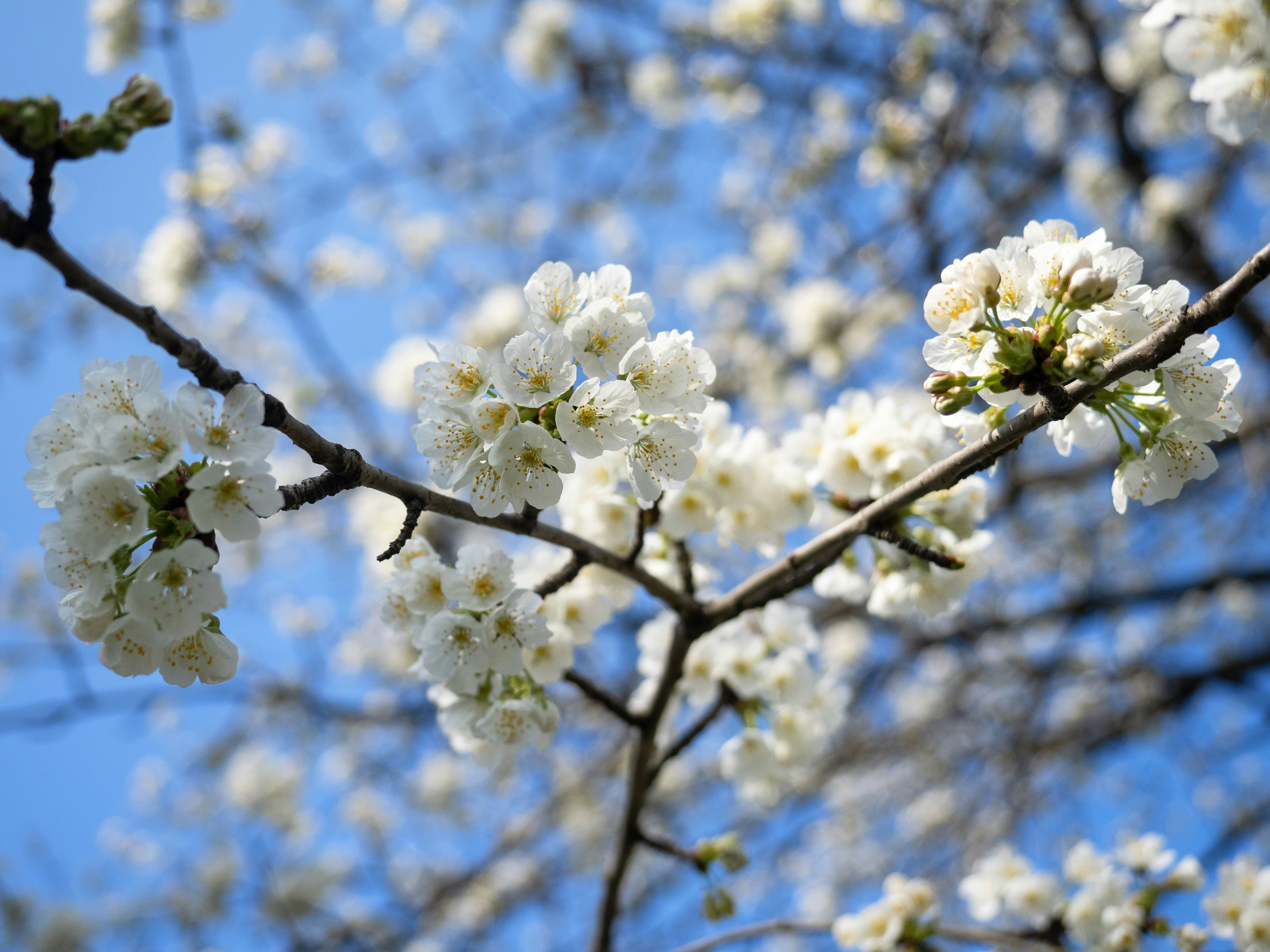 Photo by timeofblende