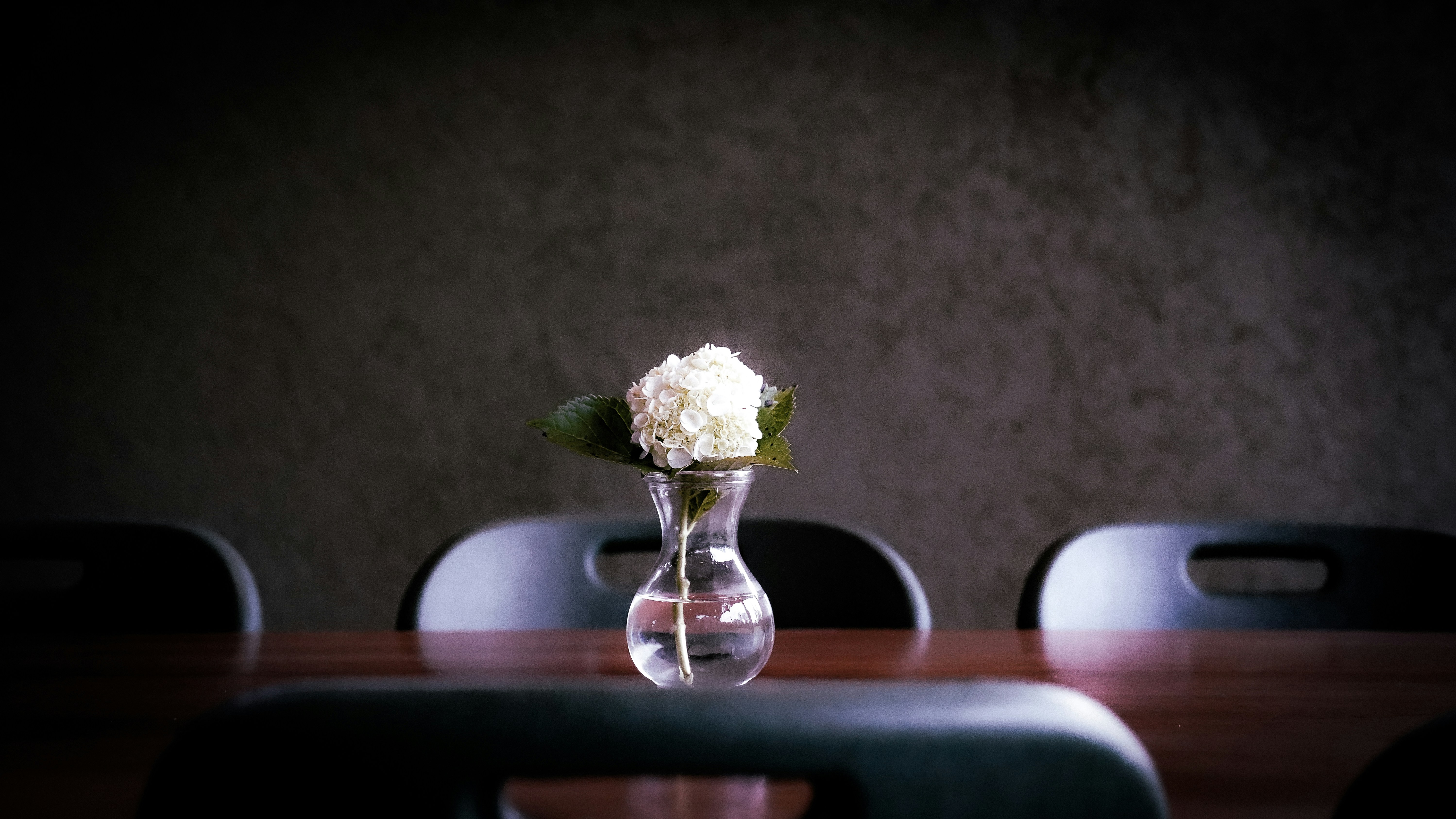 Photo by joshuaumboh