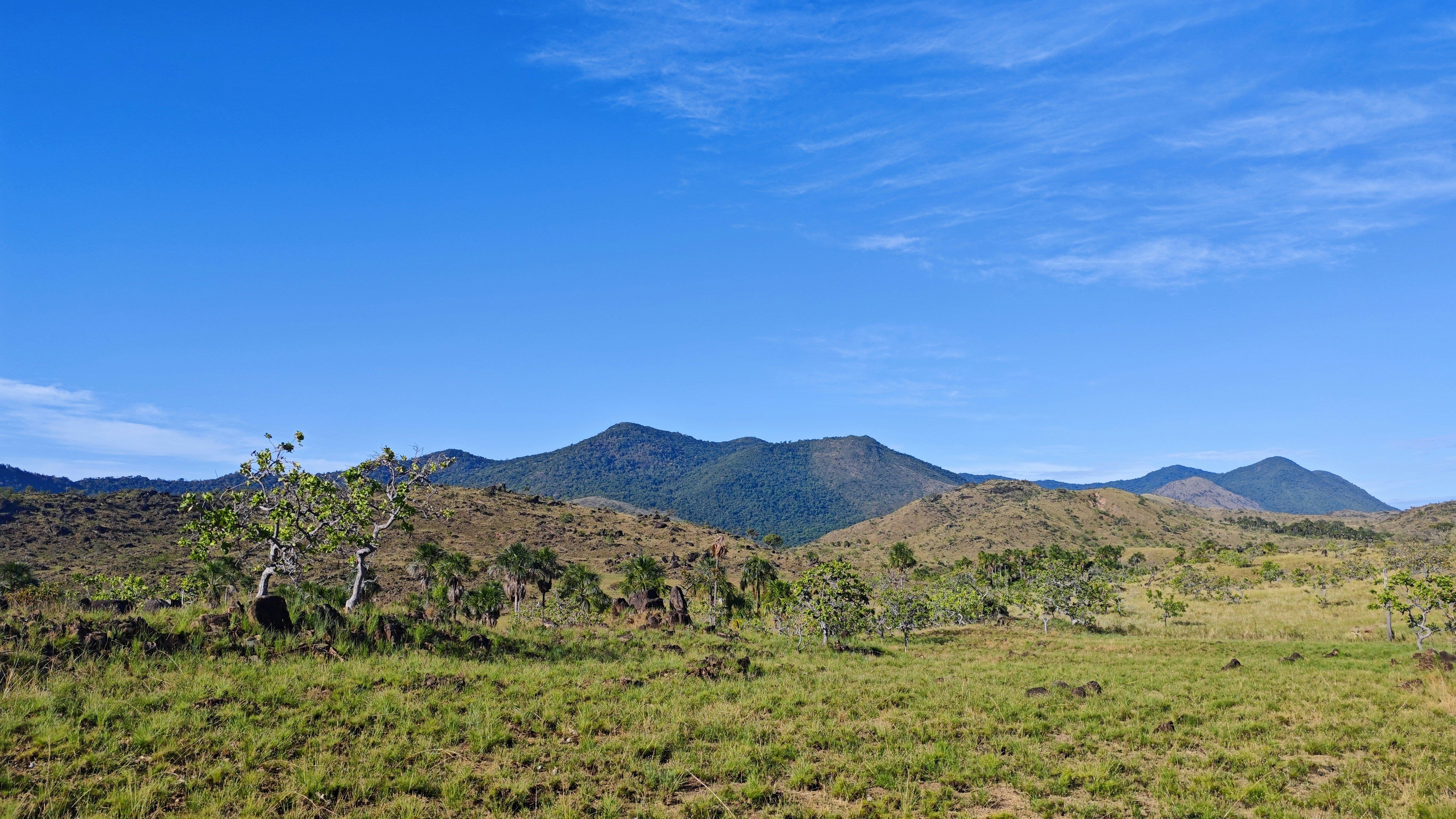 Photo by dienyportinanni