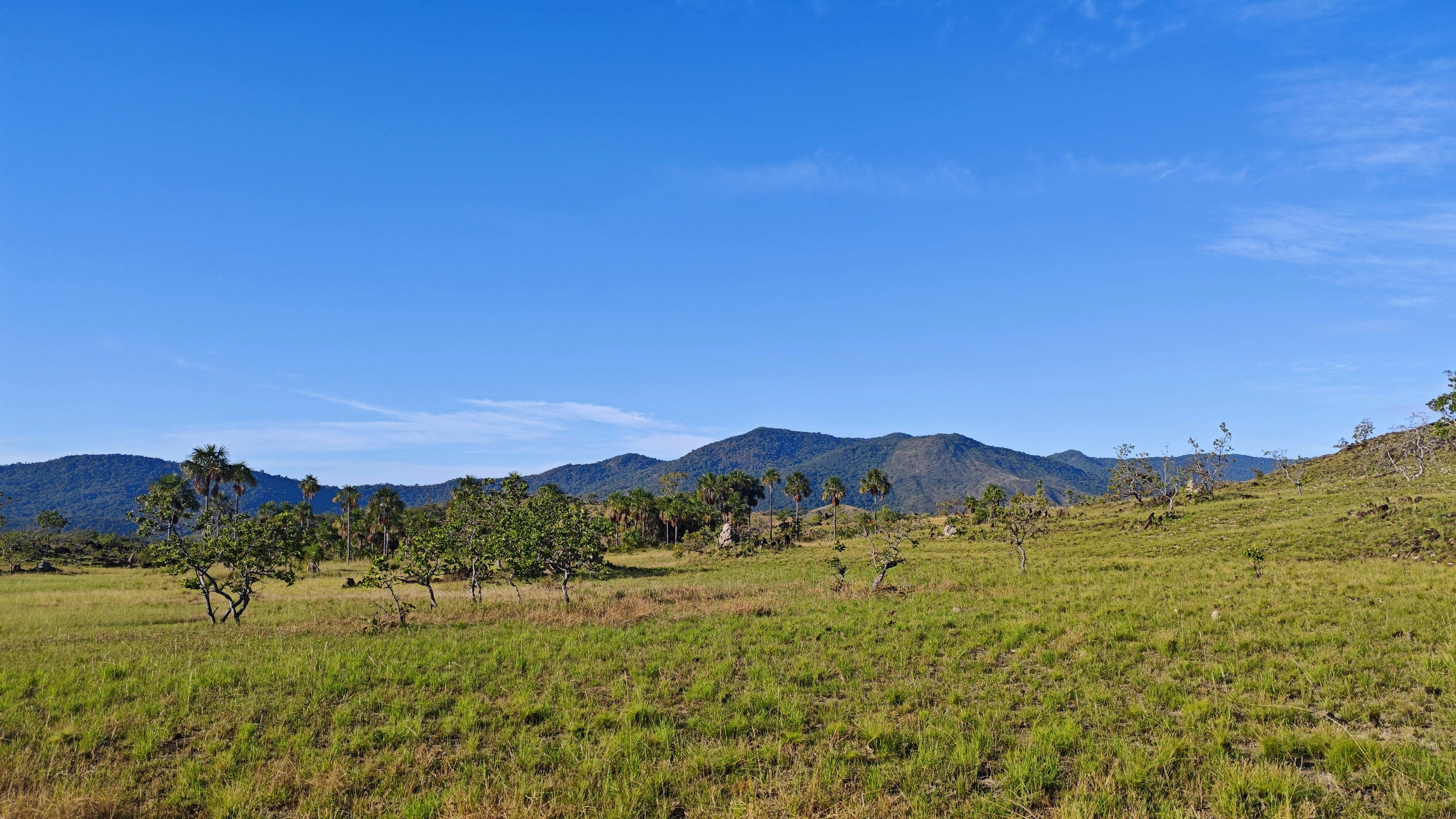 Photo by dienyportinanni