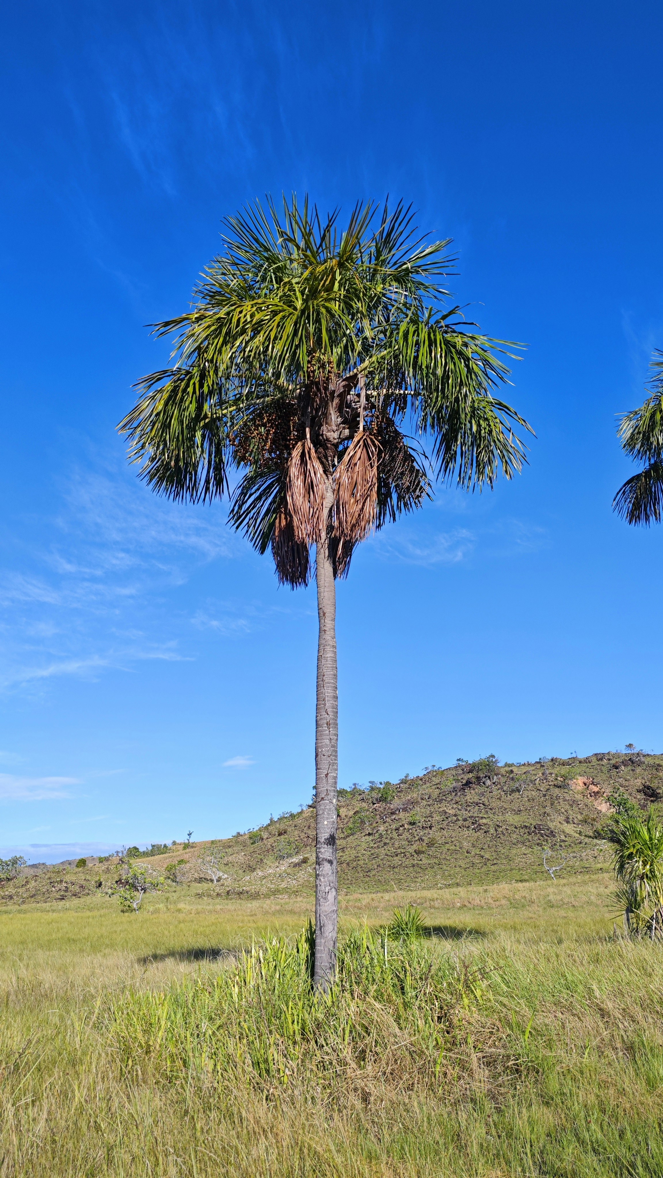 Photo by dienyportinanni