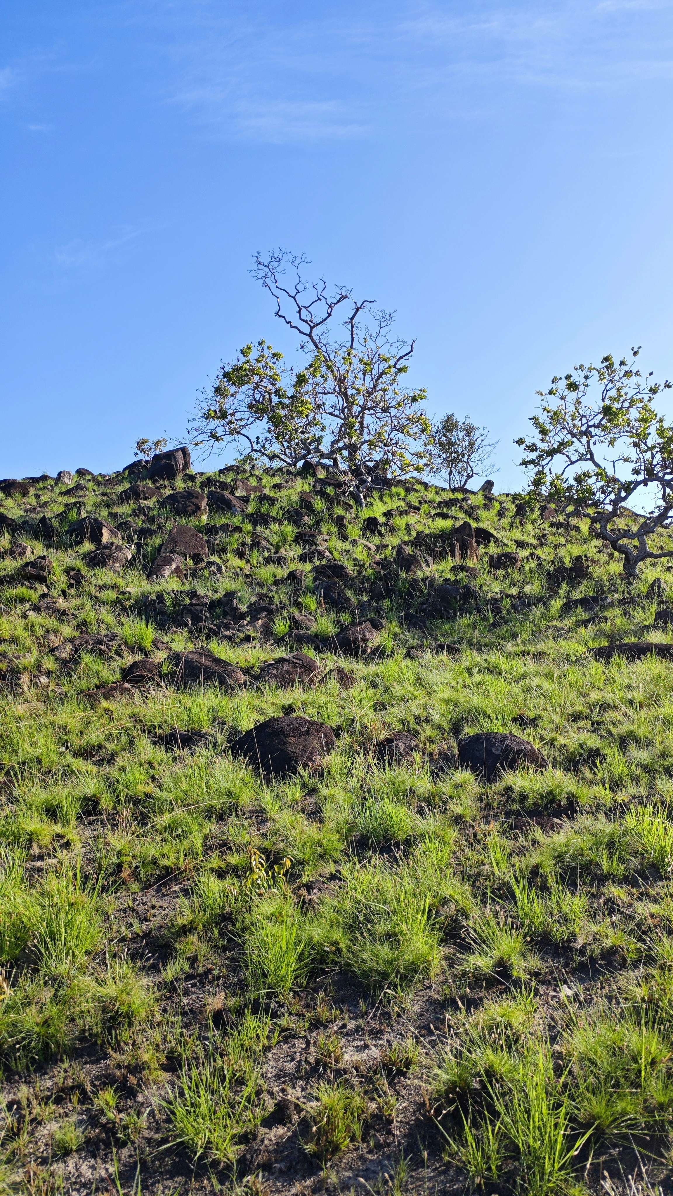 Photo by dienyportinanni