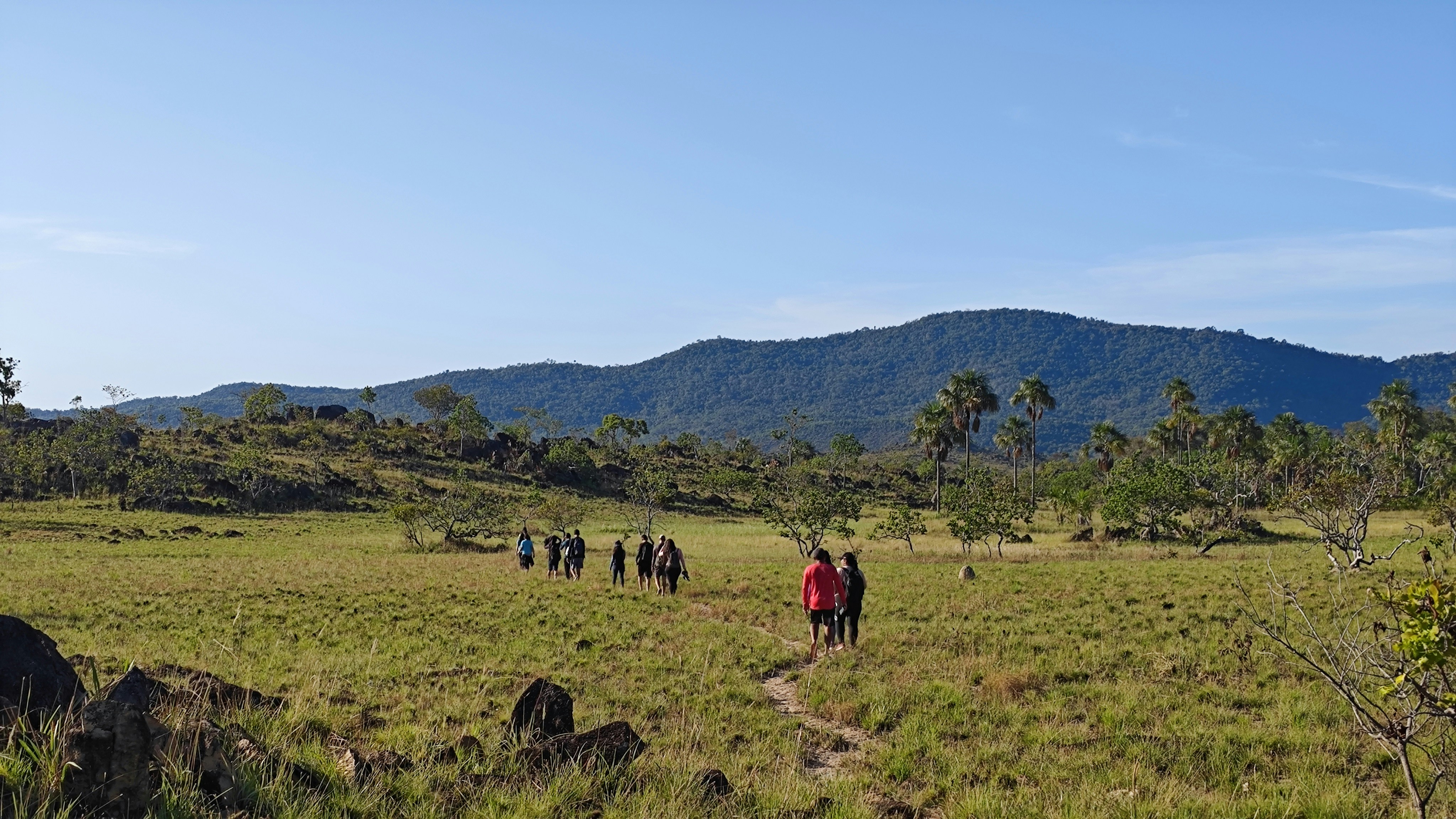 Hikers on the Machame Route, surrounded by lush landscape