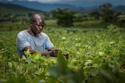 A farmer tends to his crops in a green field.