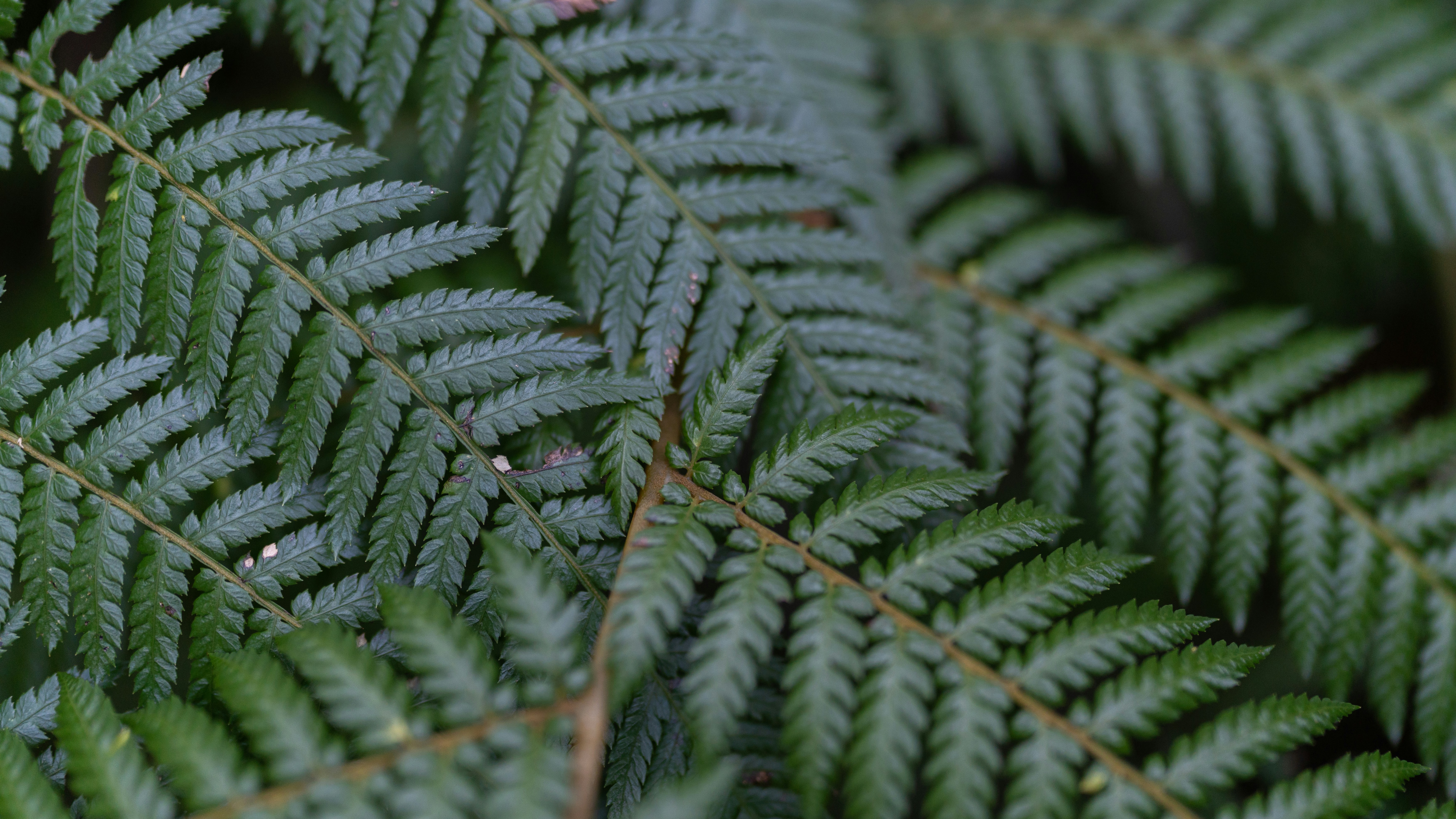 Photo by bfenton_photo