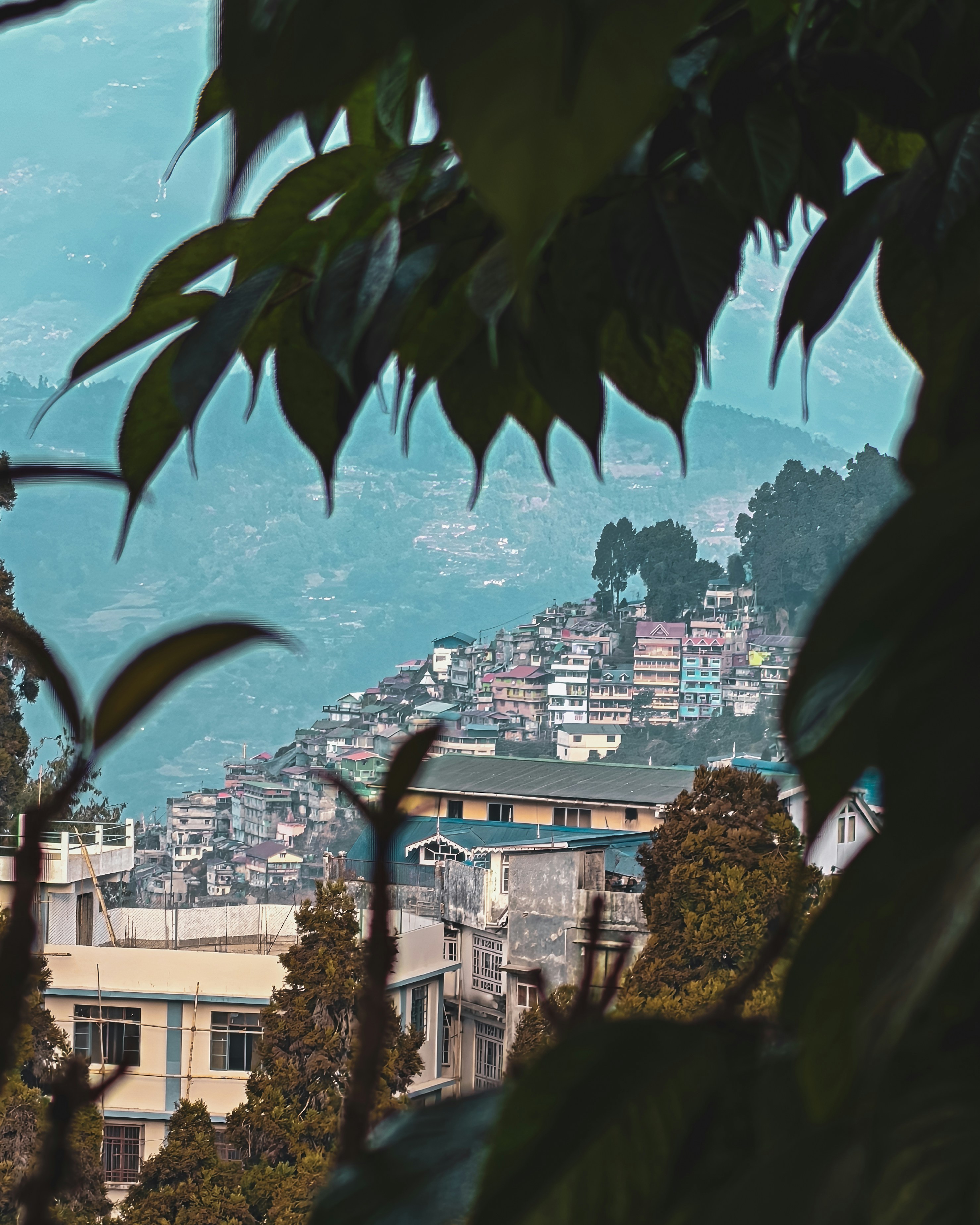 Photo by rohitsharma1785