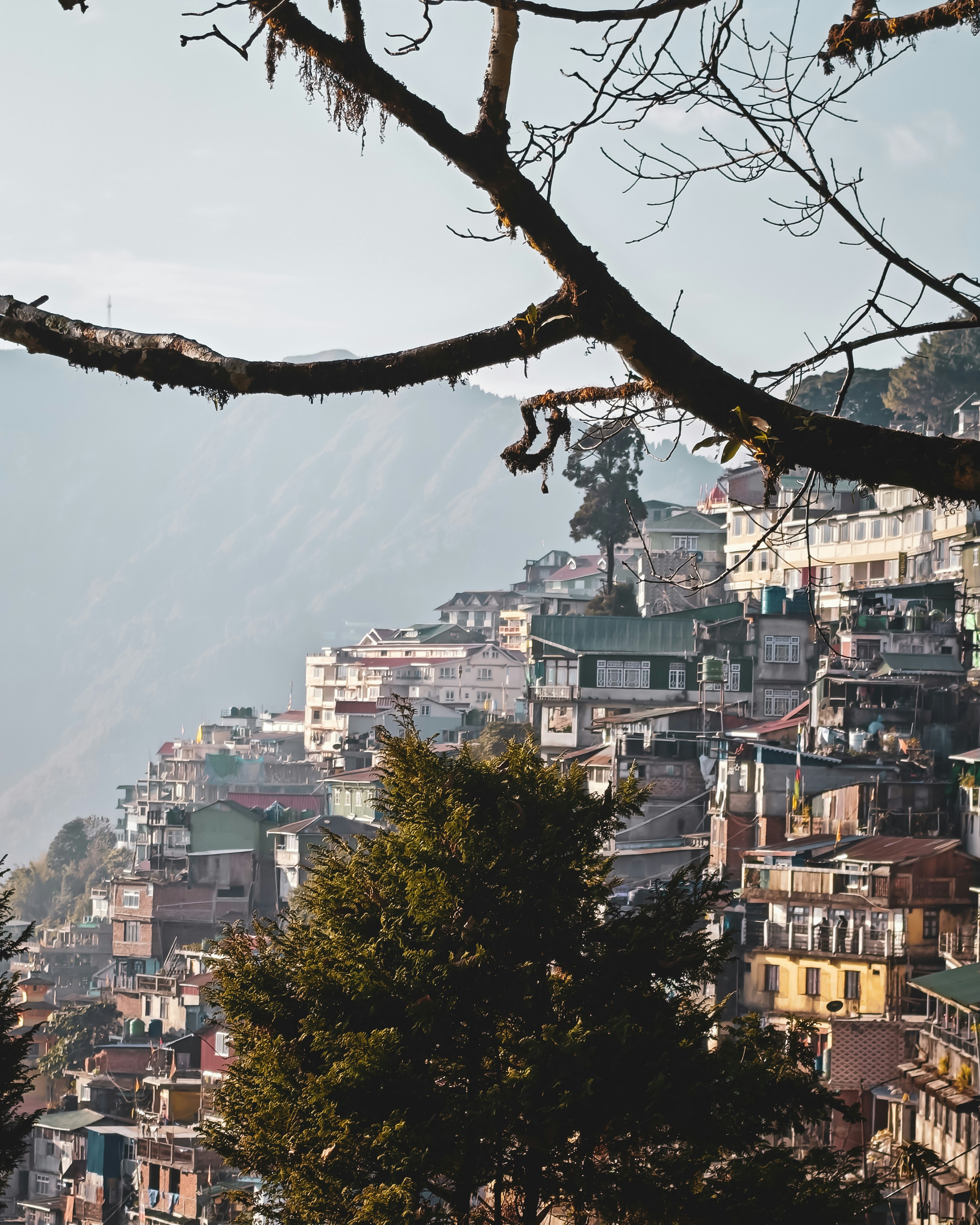 Photo by rohitsharma1785