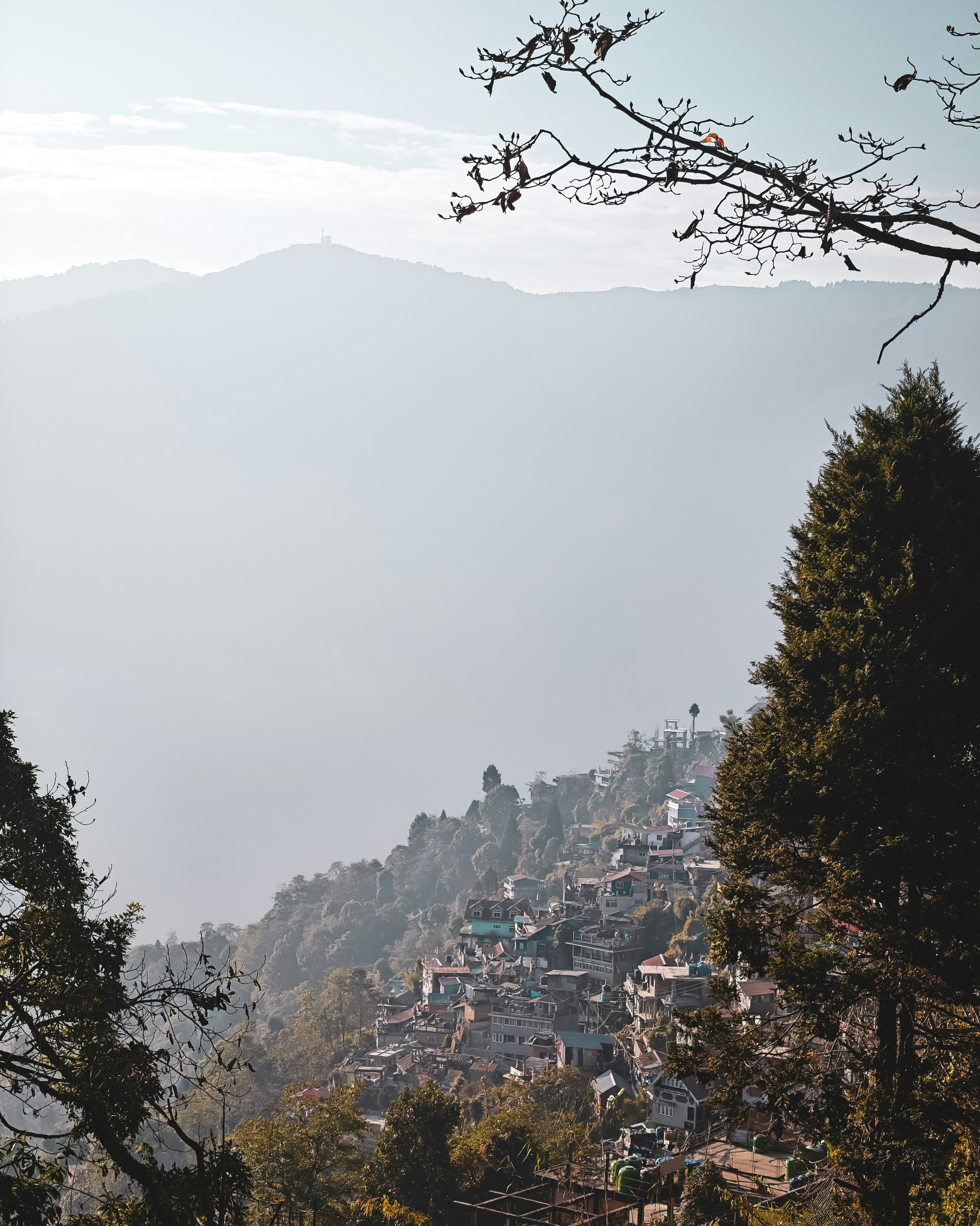 Photo by rohitsharma1785