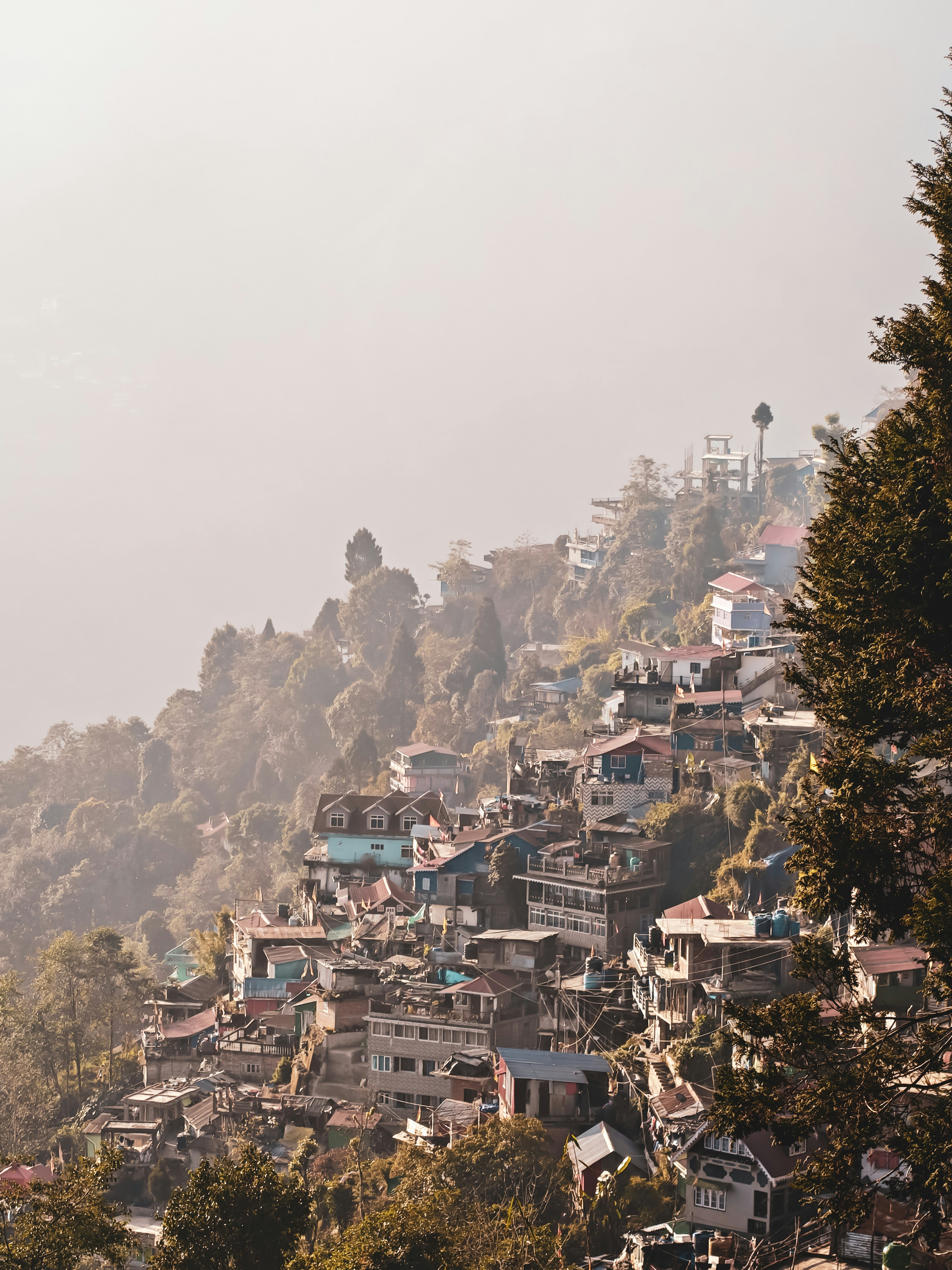 Photo by rohitsharma1785