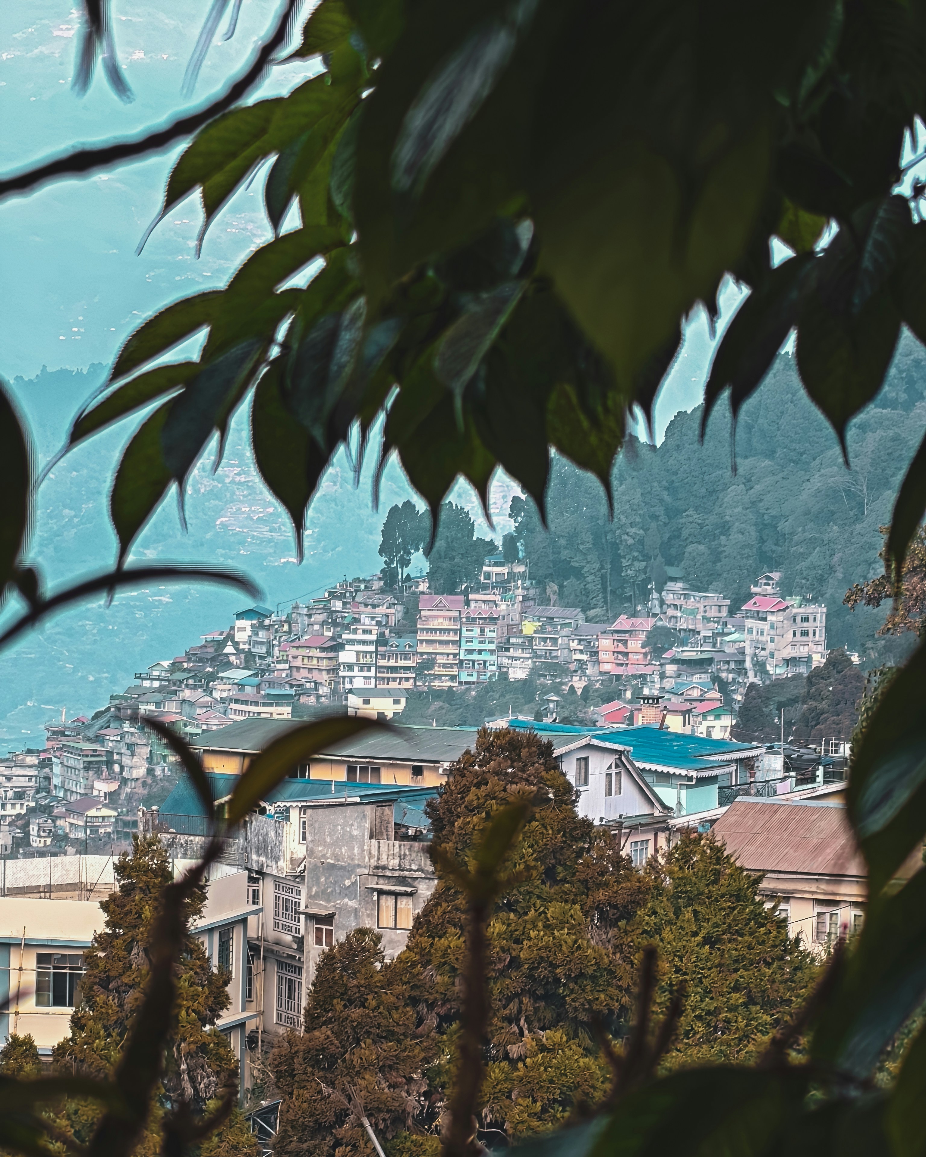 Photo by rohitsharma1785