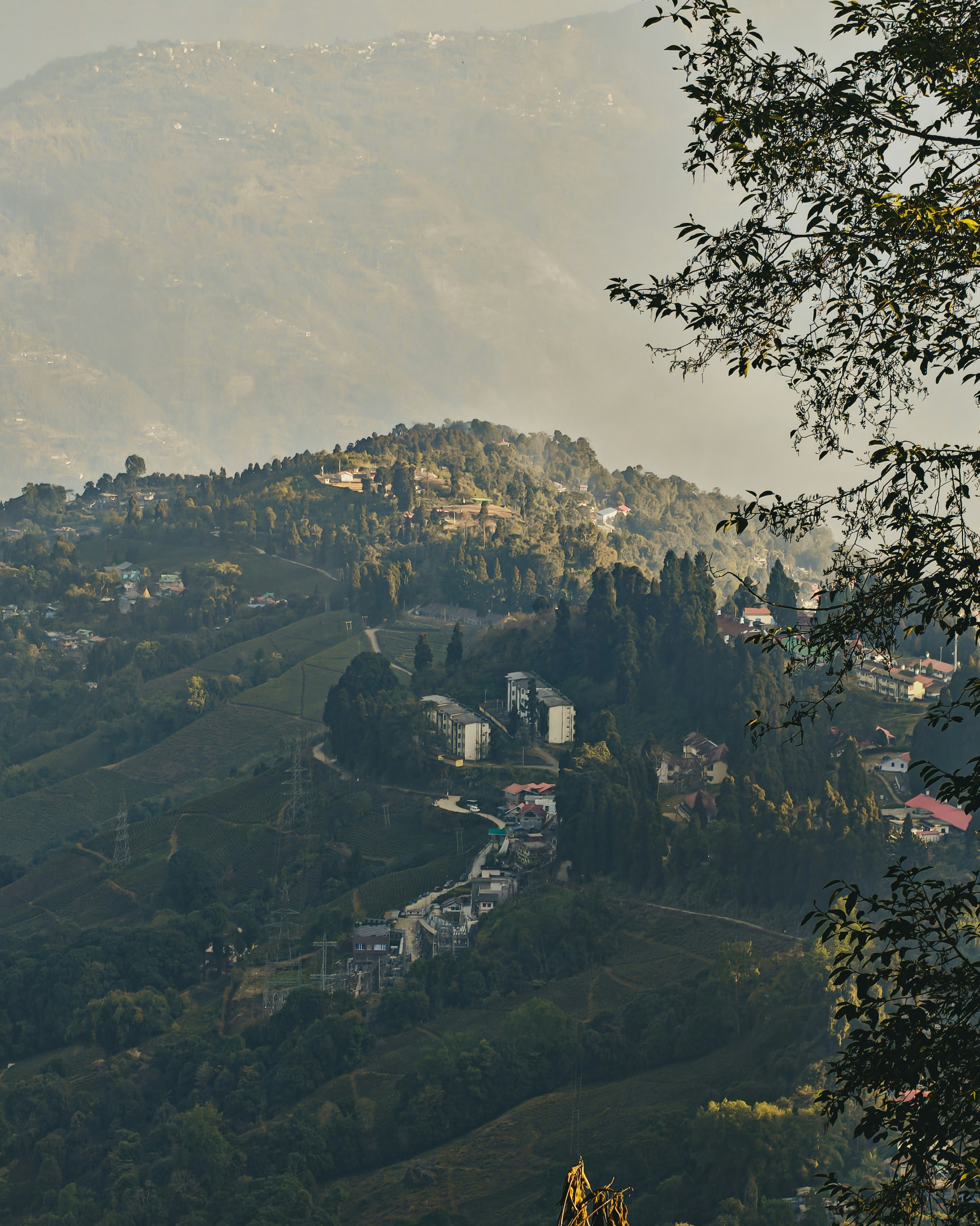 Photo by rohitsharma1785