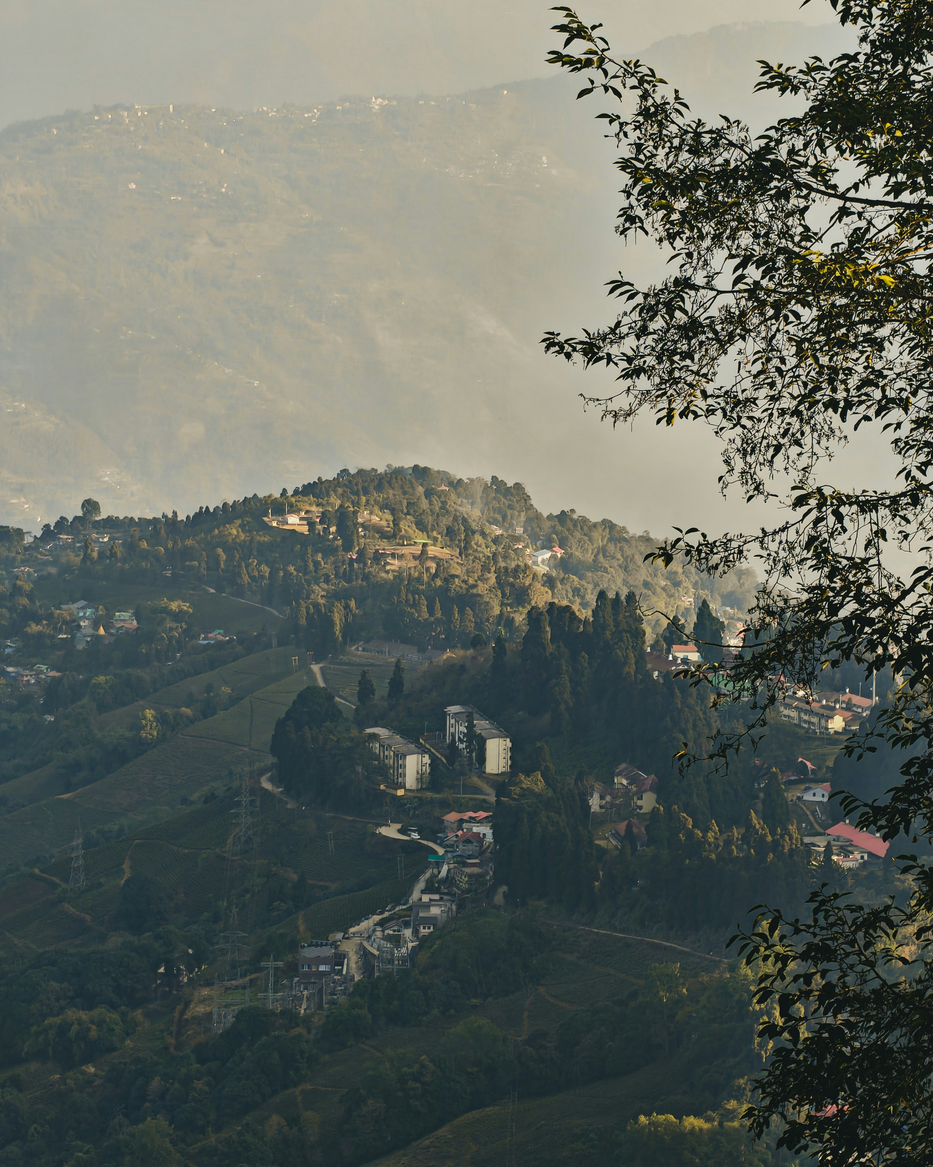 Photo by rohitsharma1785