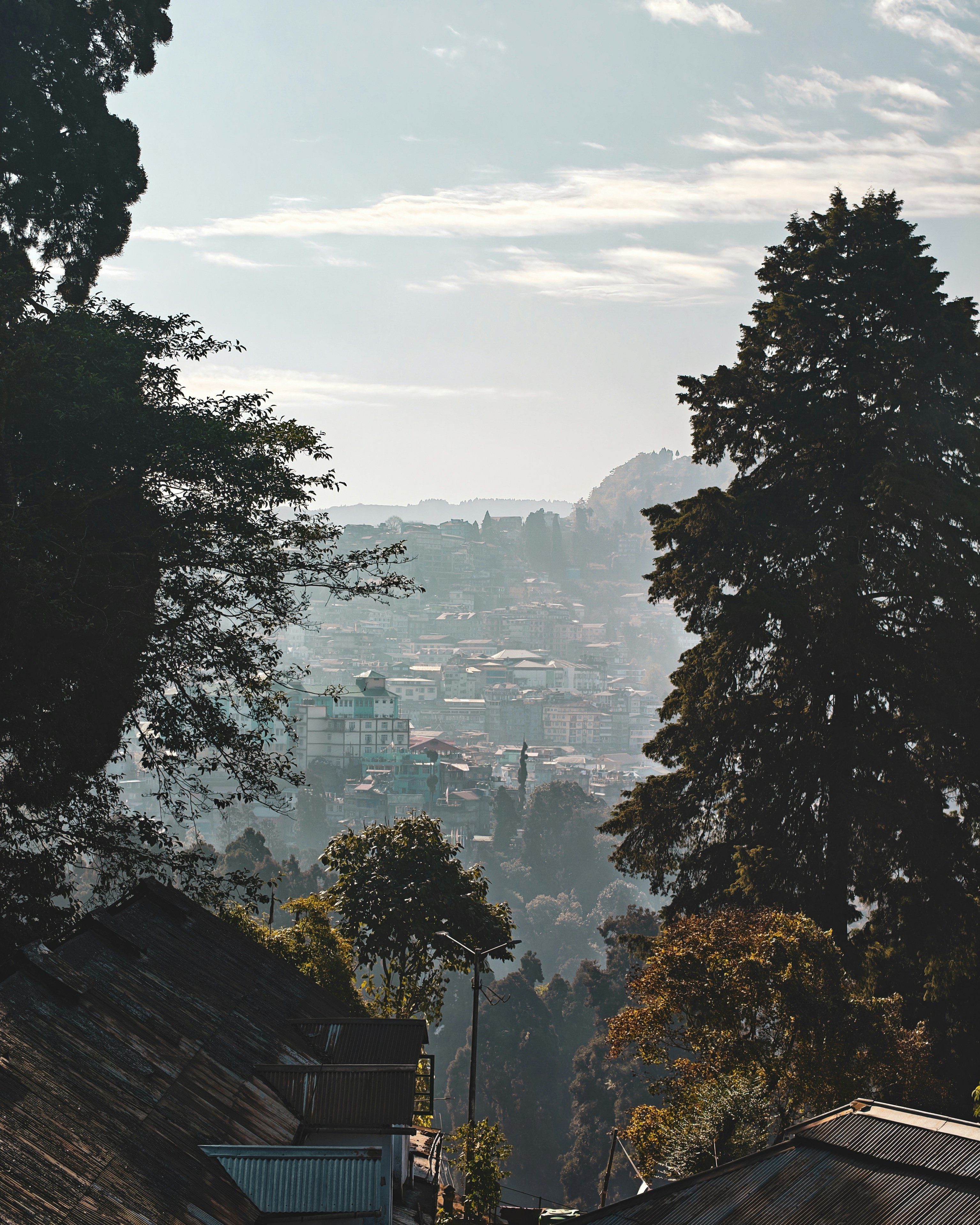 Photo by rohitsharma1785