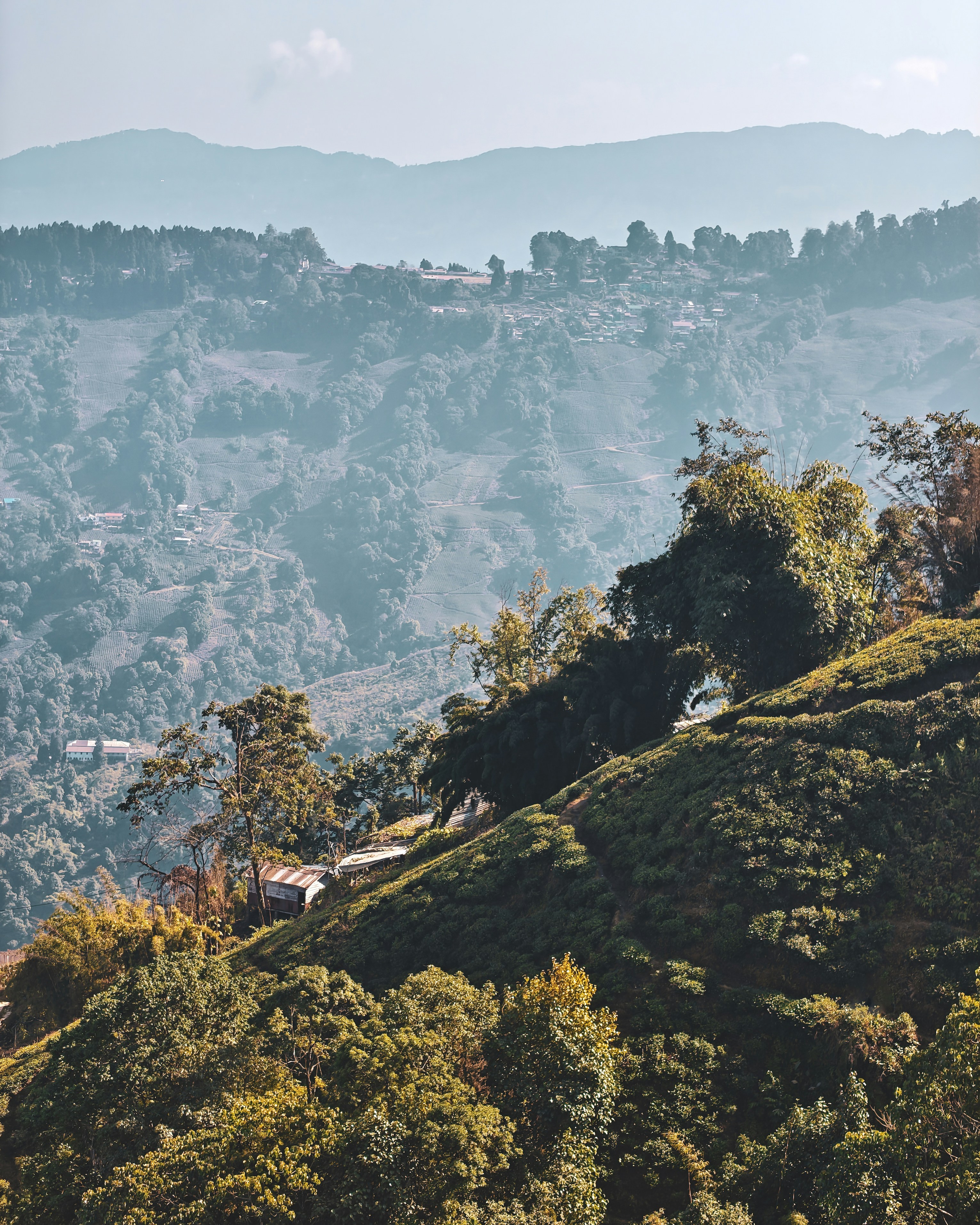 Photo by rohitsharma1785