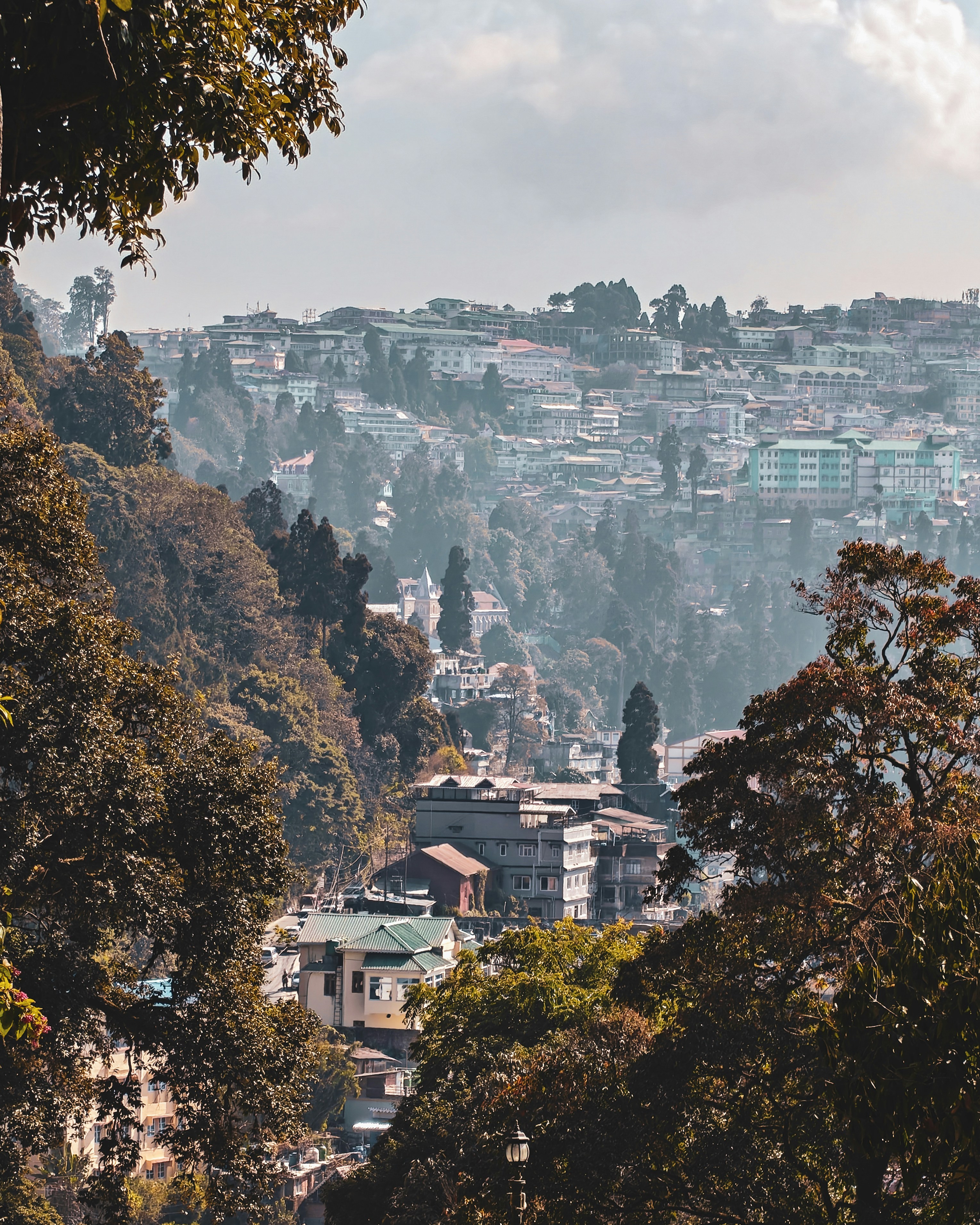 Photo by rohitsharma1785