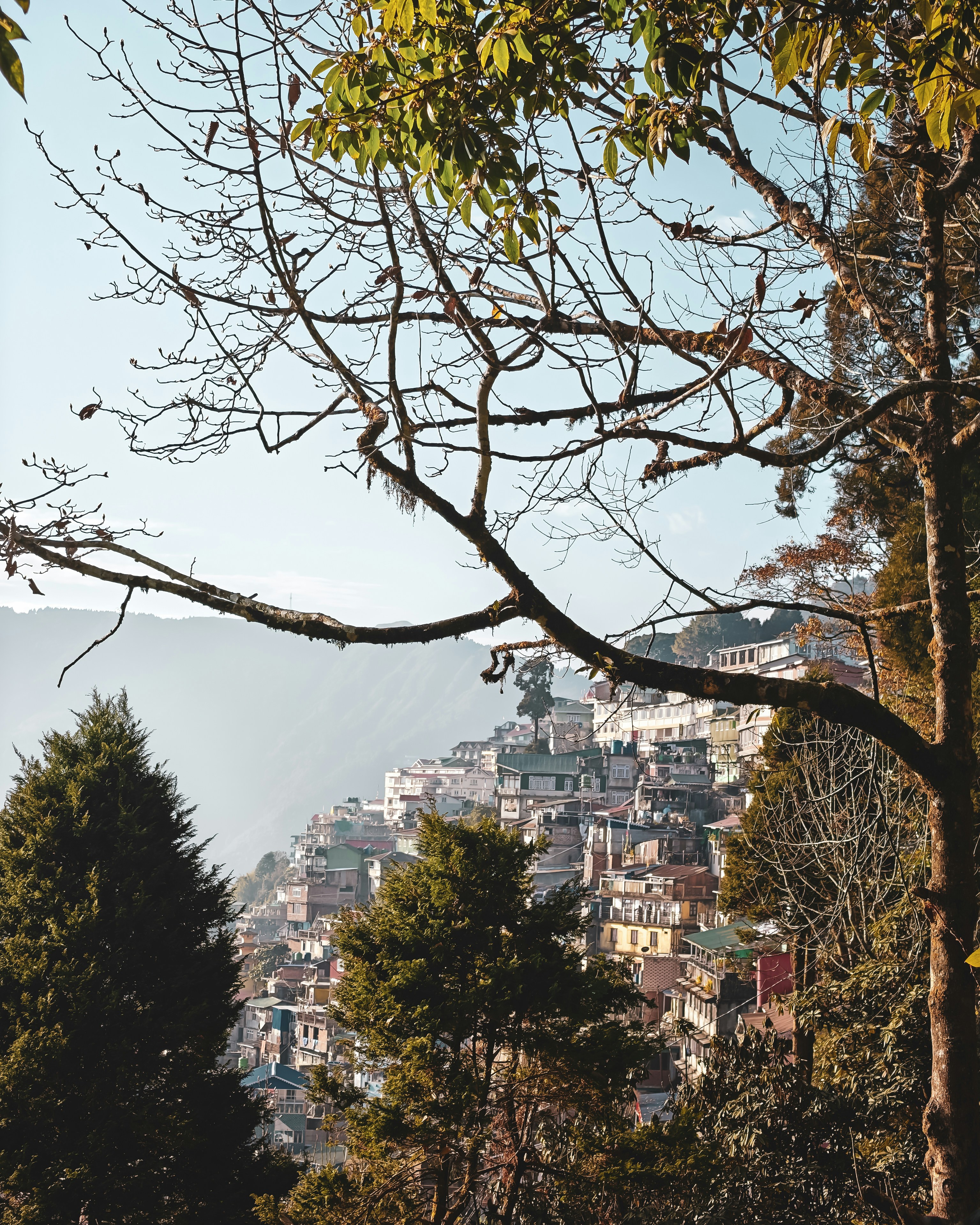 Photo by rohitsharma1785