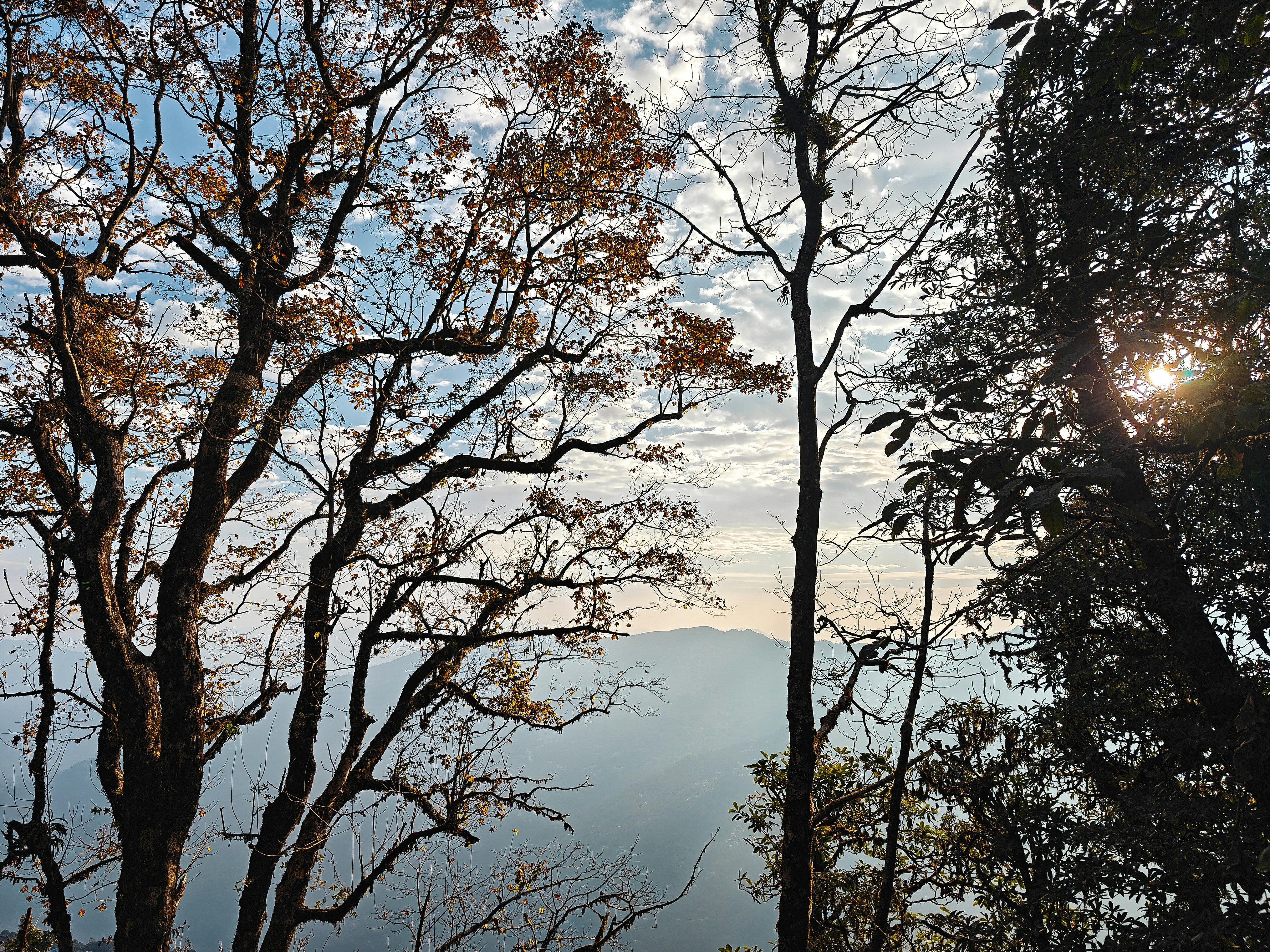 11 Beginner Mistakes on Smoky Mountains Travel Hikes