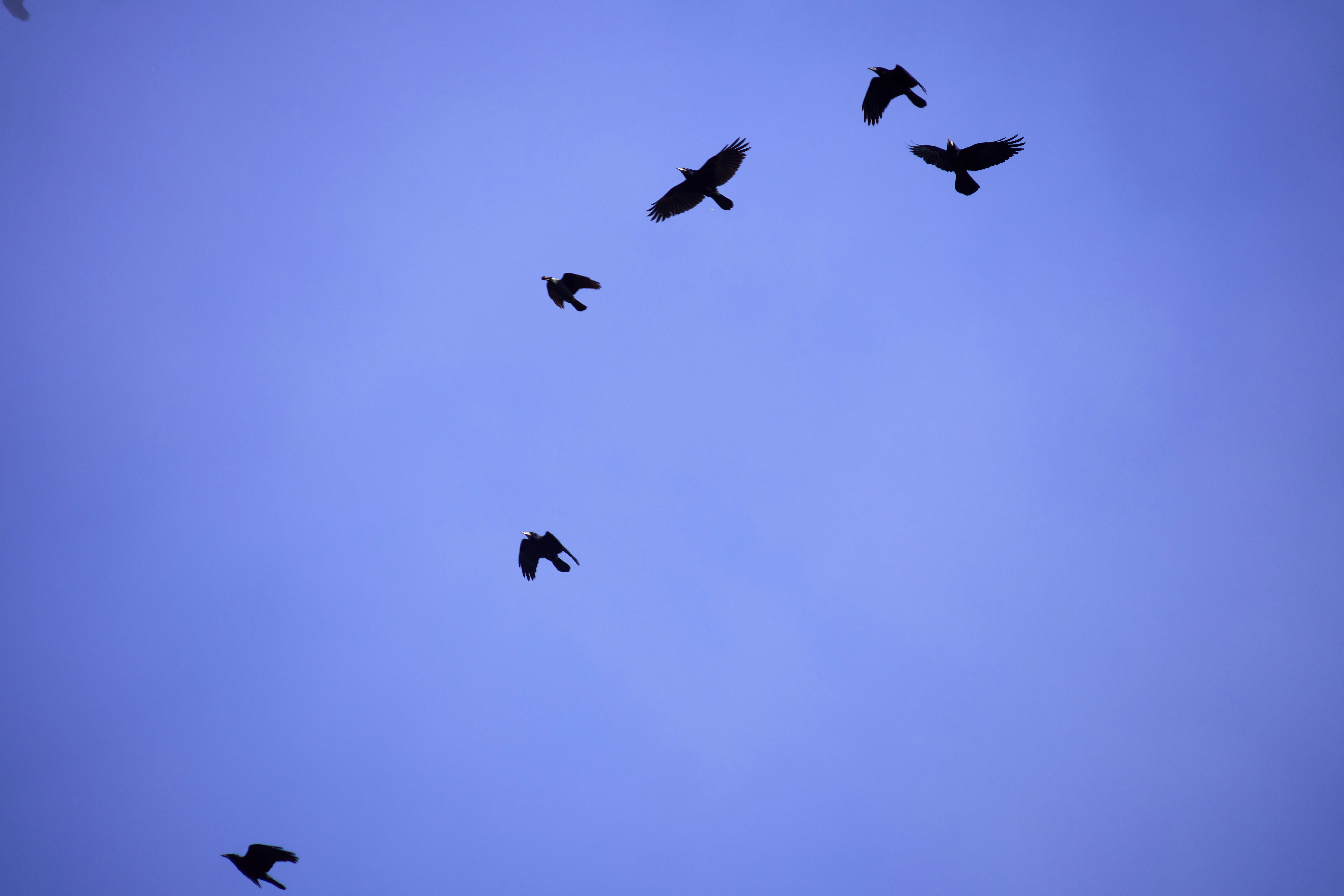 Photo by wolfgang_hasselmann