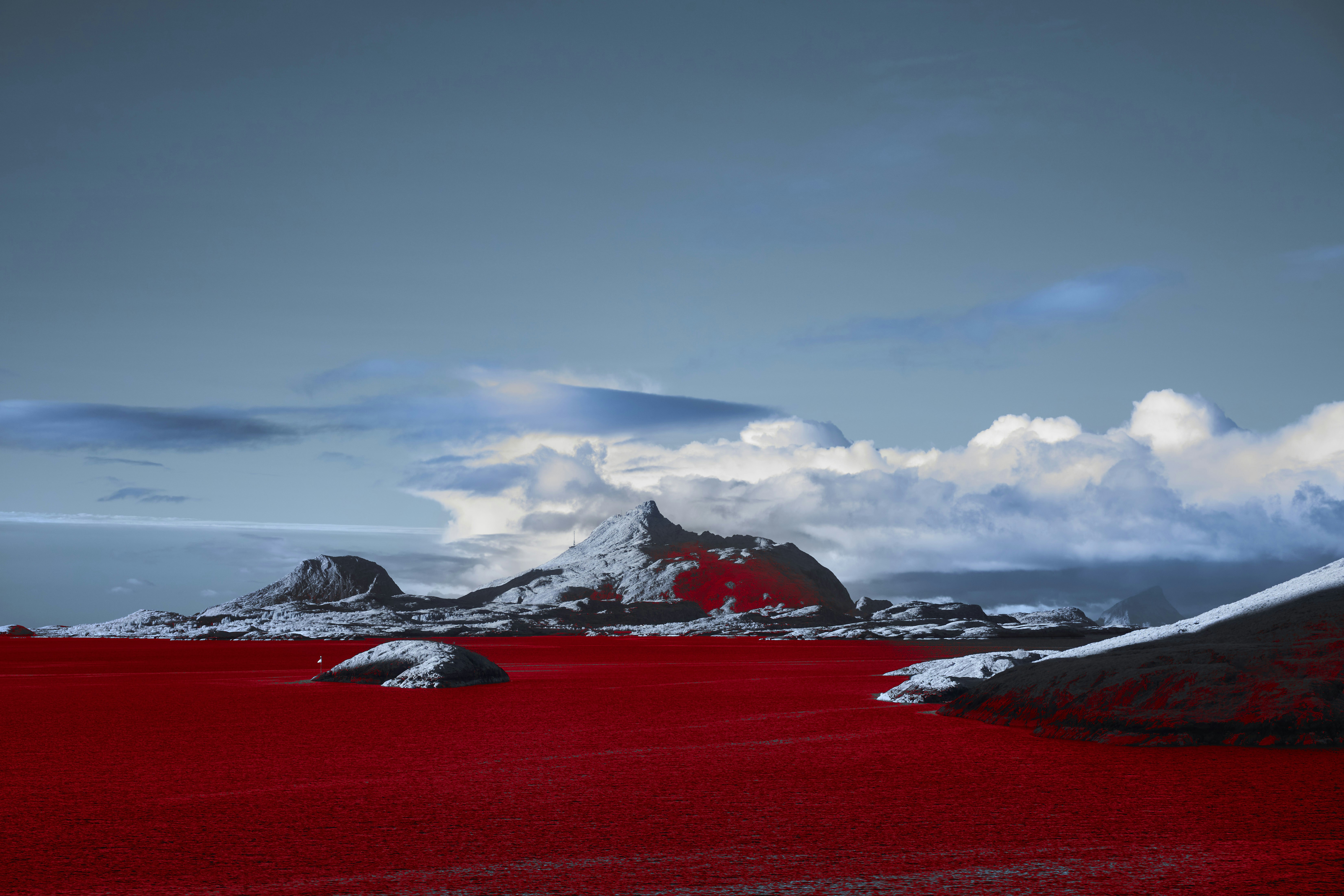 Photo by wolfgang_hasselmann