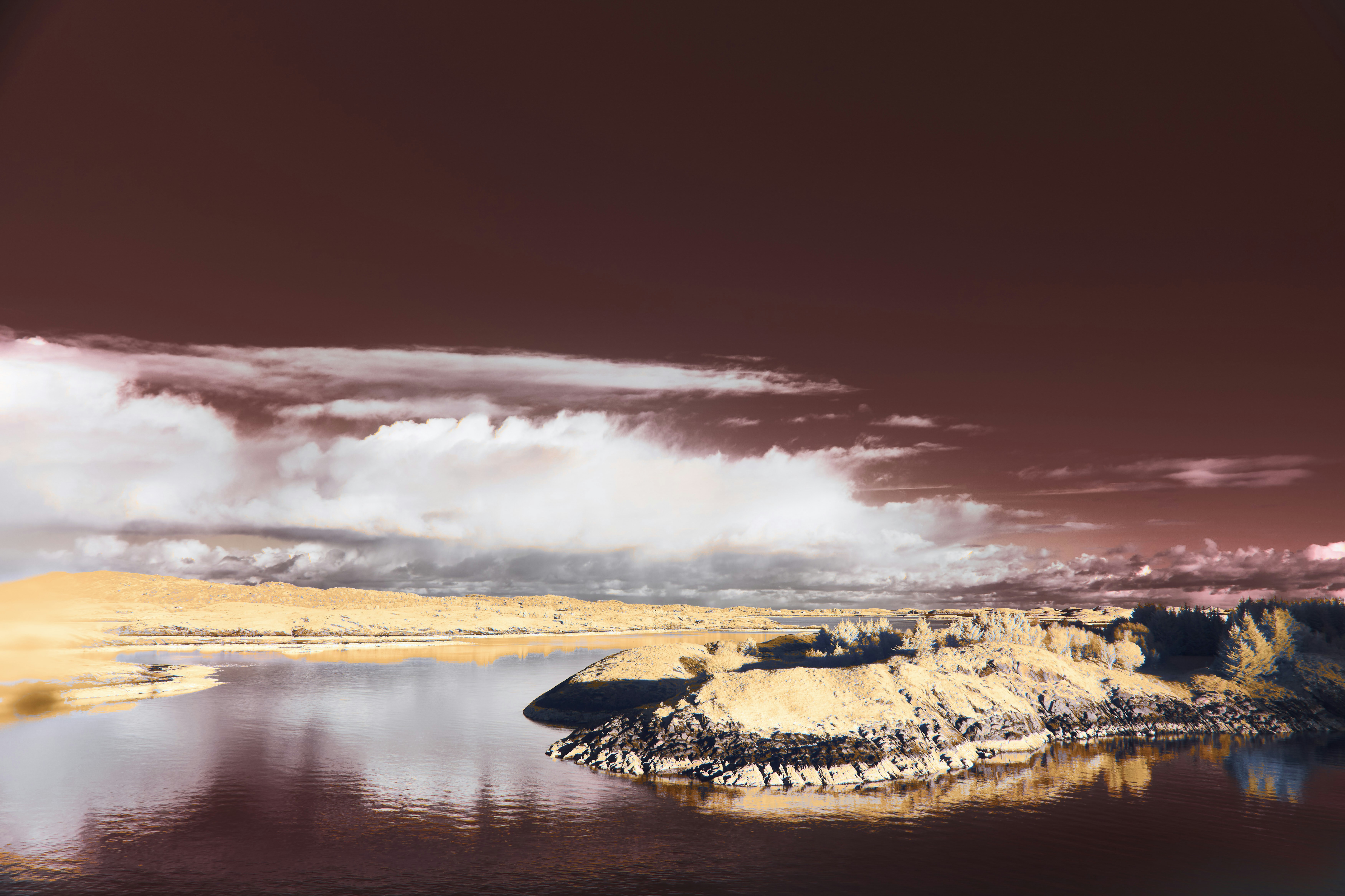 Photo by wolfgang_hasselmann