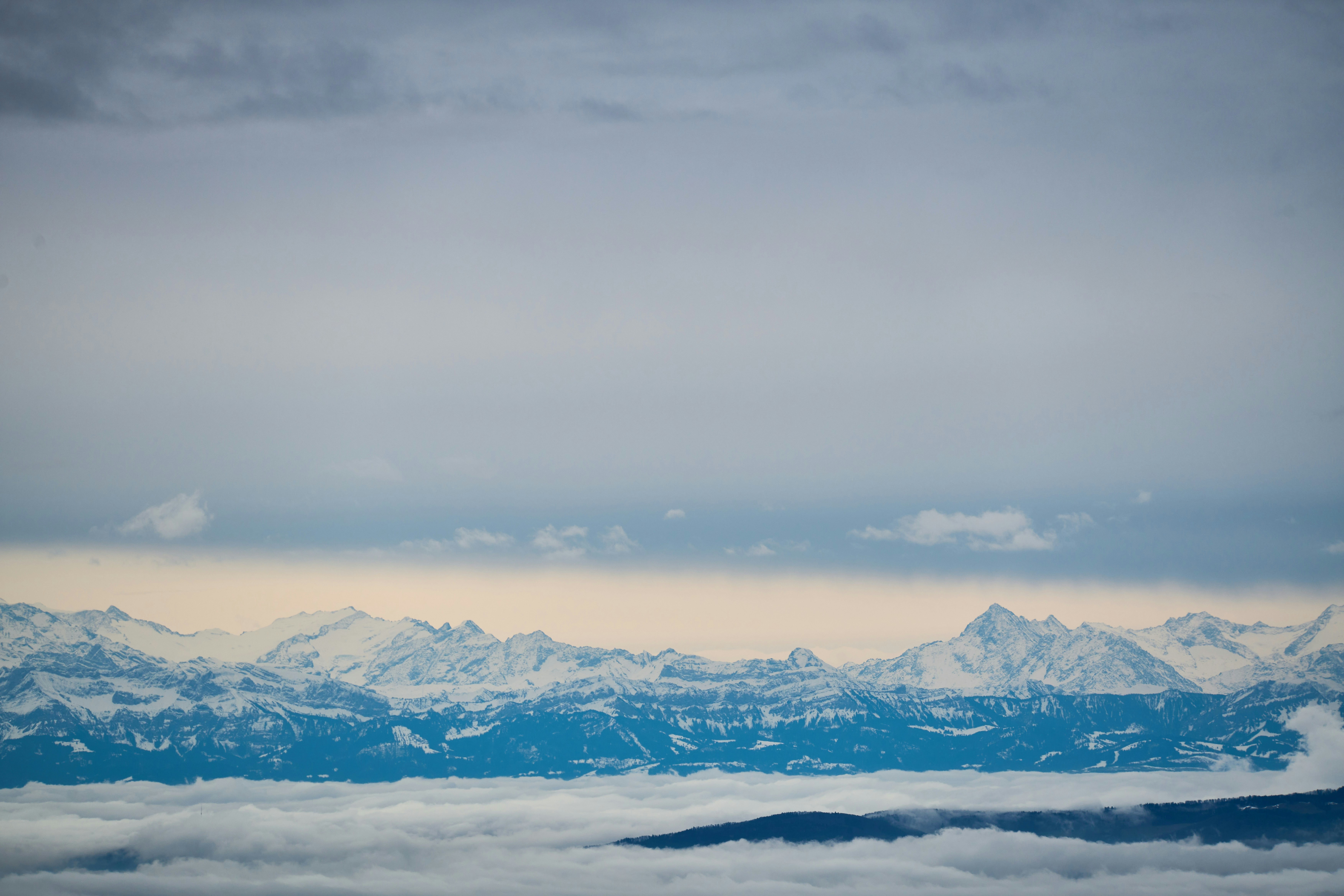 Photo by wolfgang_hasselmann