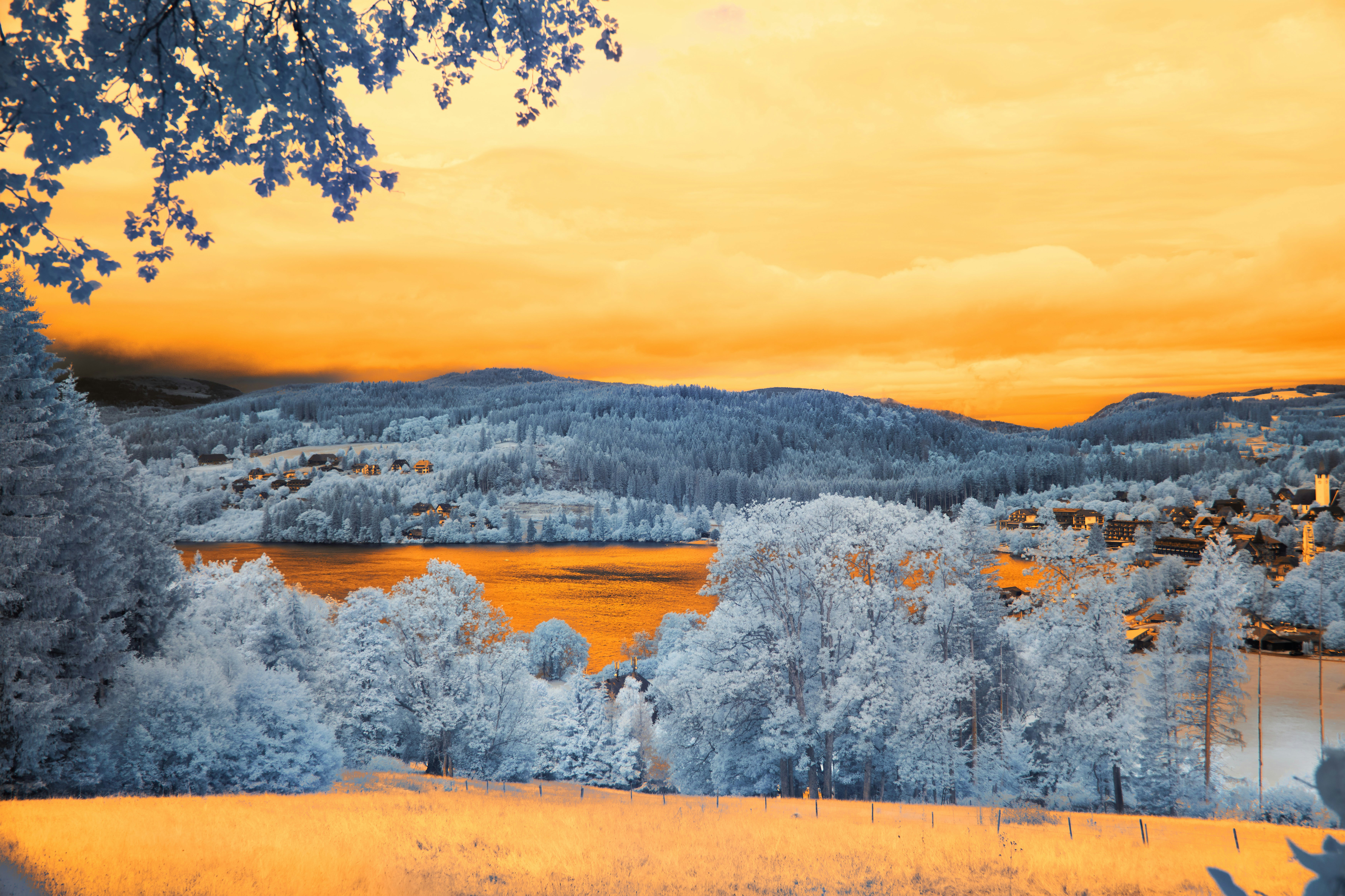 Photo by wolfgang_hasselmann