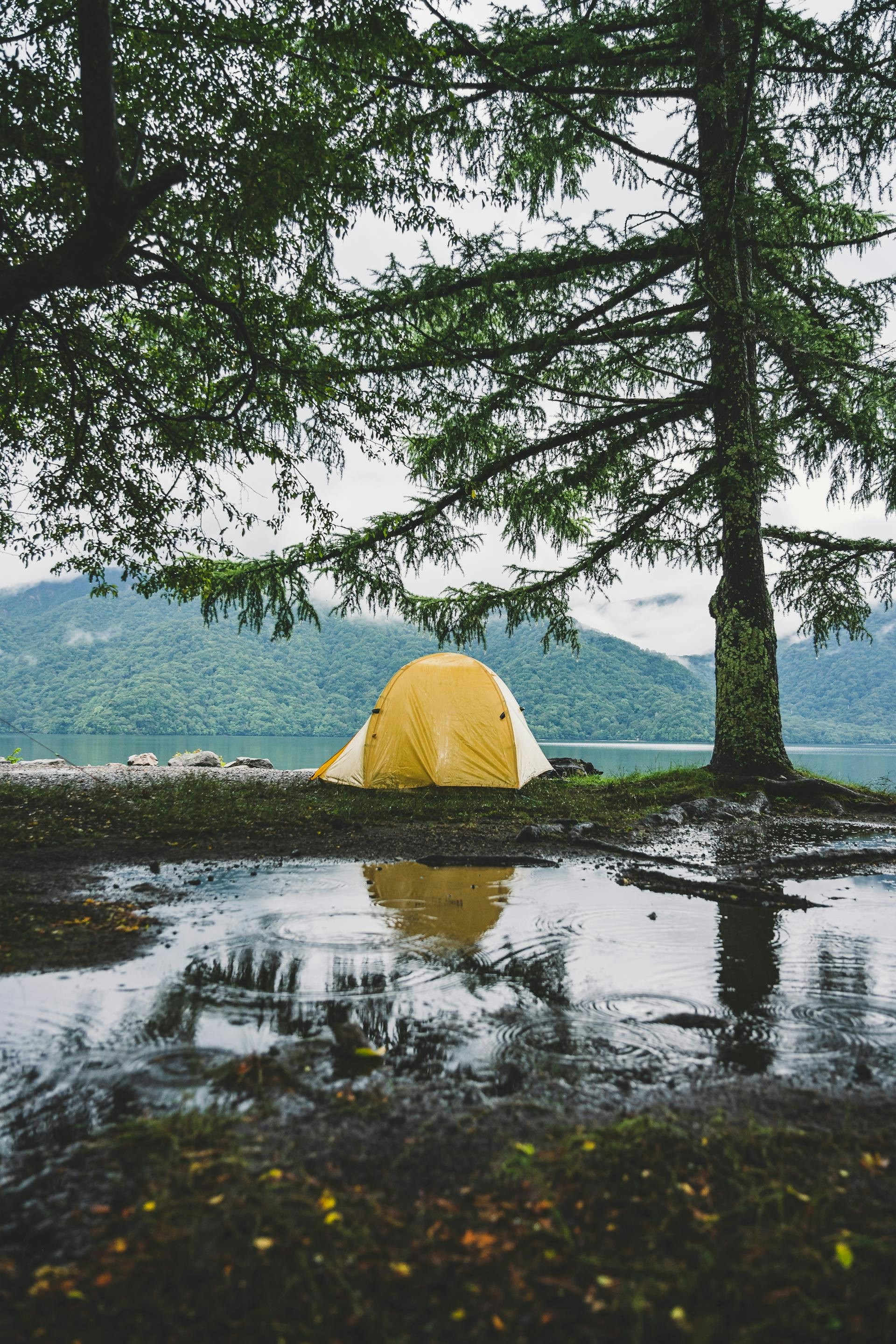 rainy forest tent wallpaper, wallpaper, Stay Motivated During a Long Rain Delay at Camp: Top Tips 4