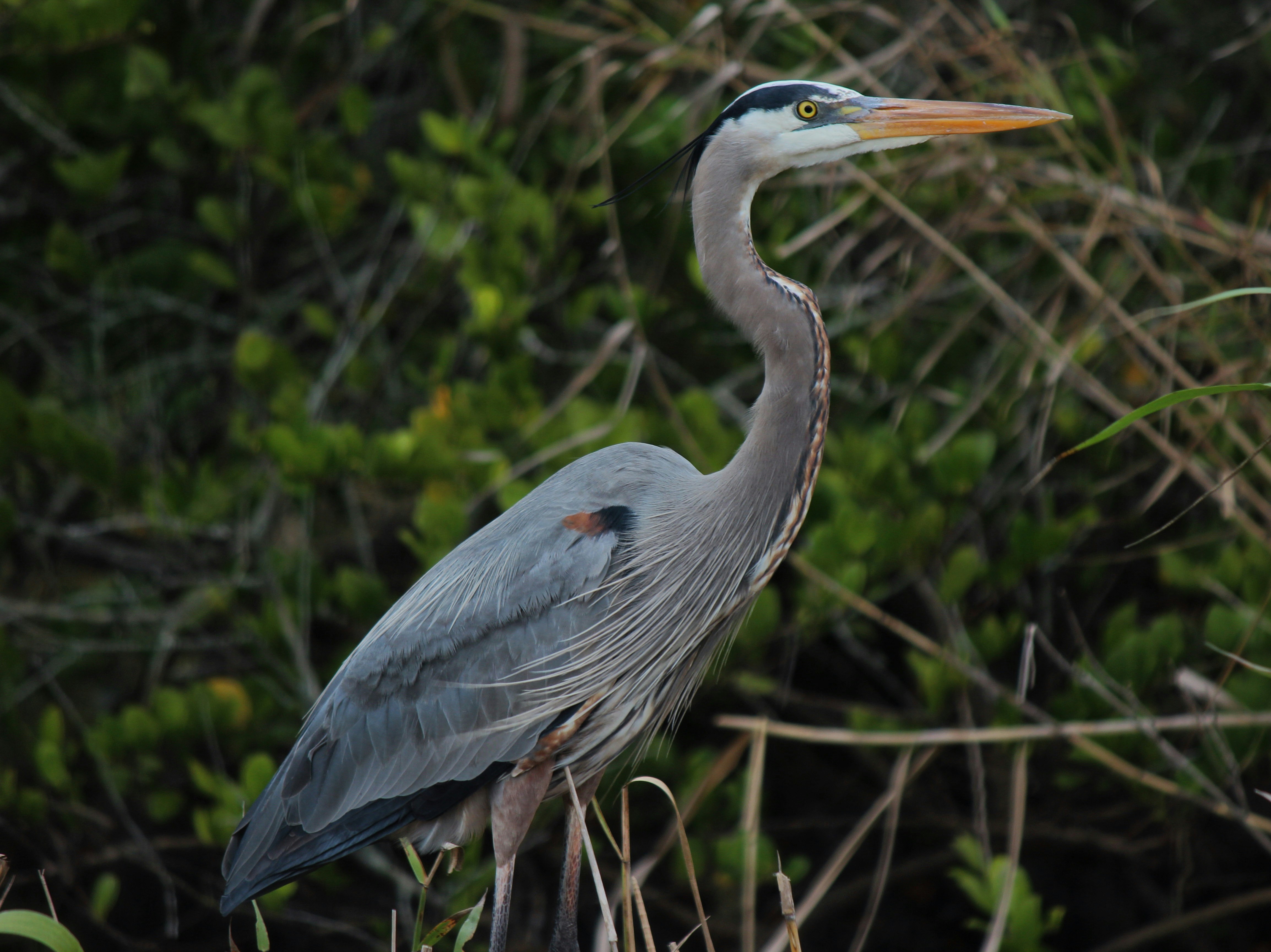 Photo by hasnainsikora