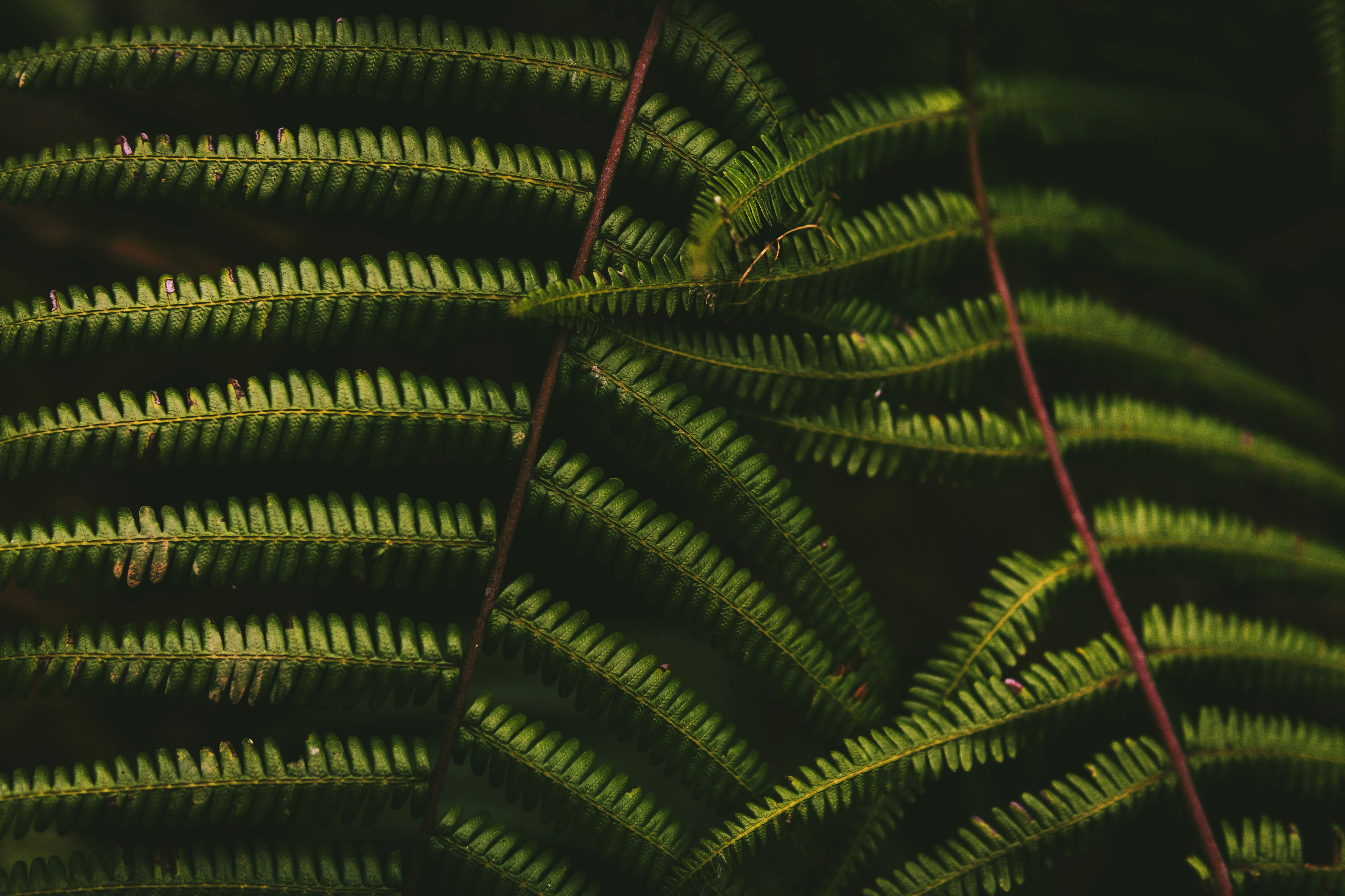 Photo by theblack_hood