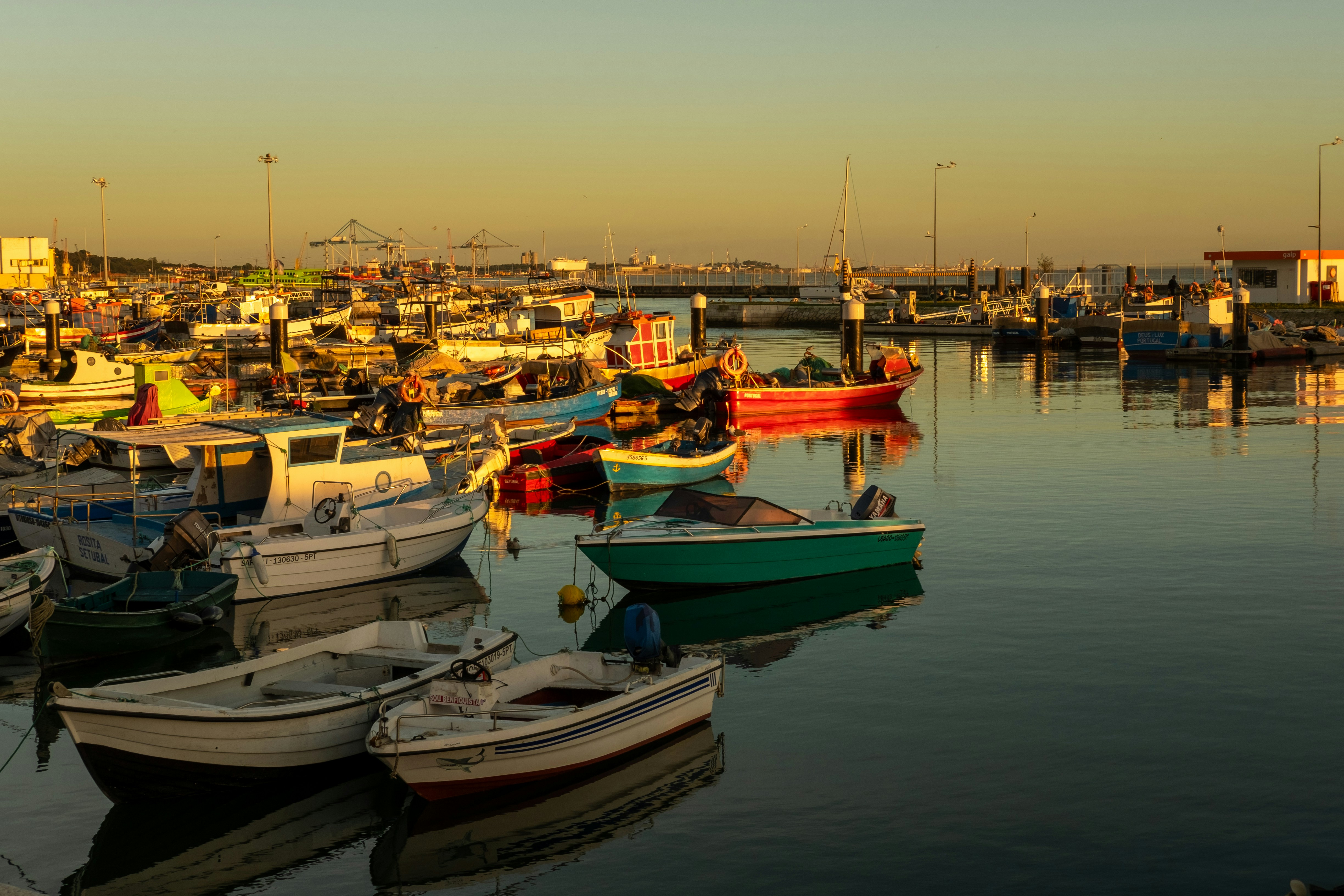 Photo by noelephantsflying