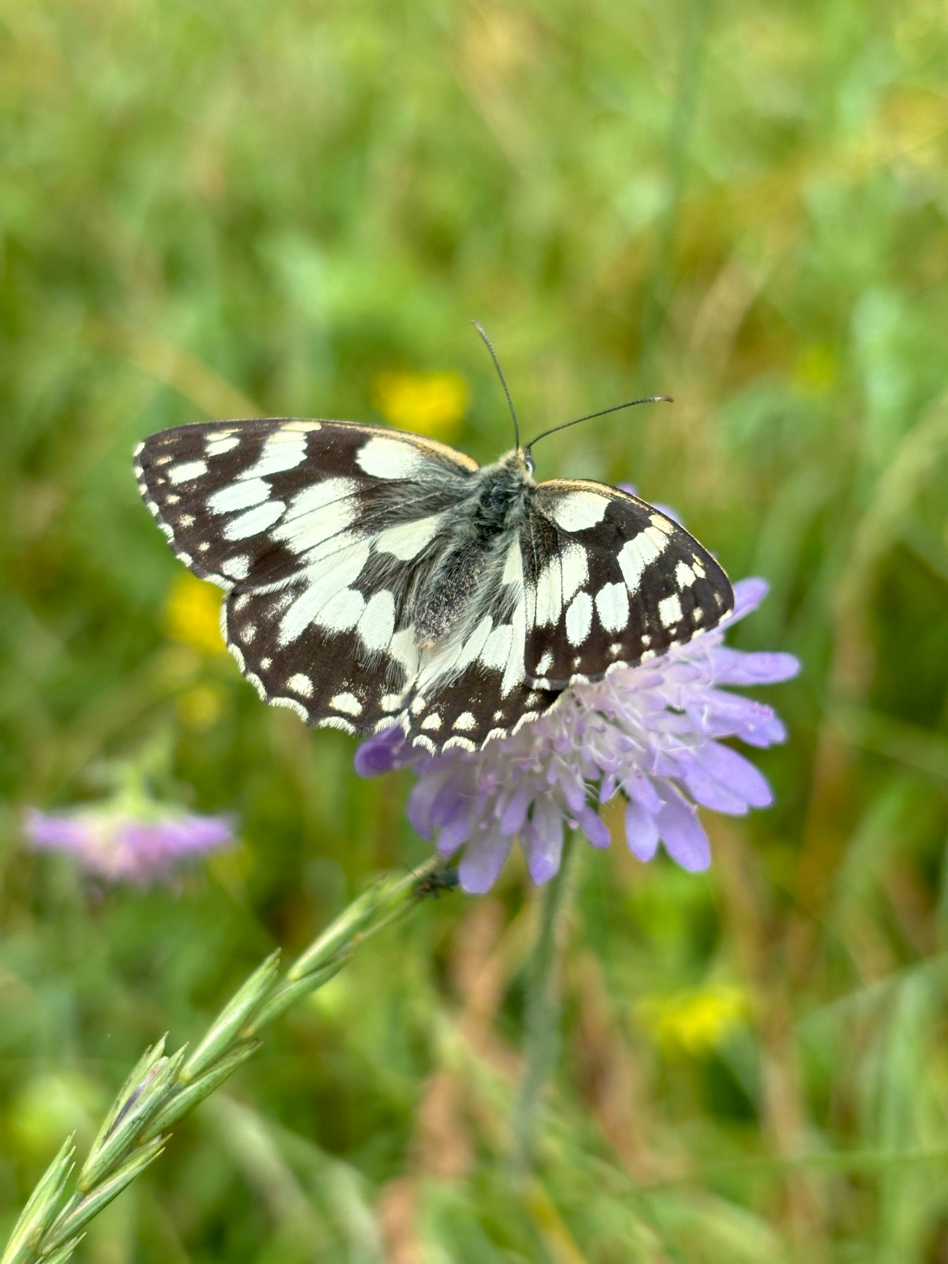 Photo by webdesignheger