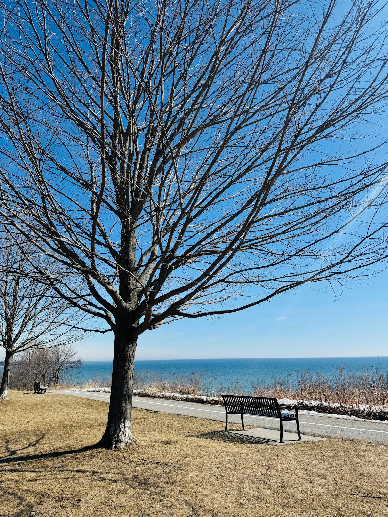 Living in Ajax, Ontario: Affordable Waterfront Living in the GTA (2026 Guide)