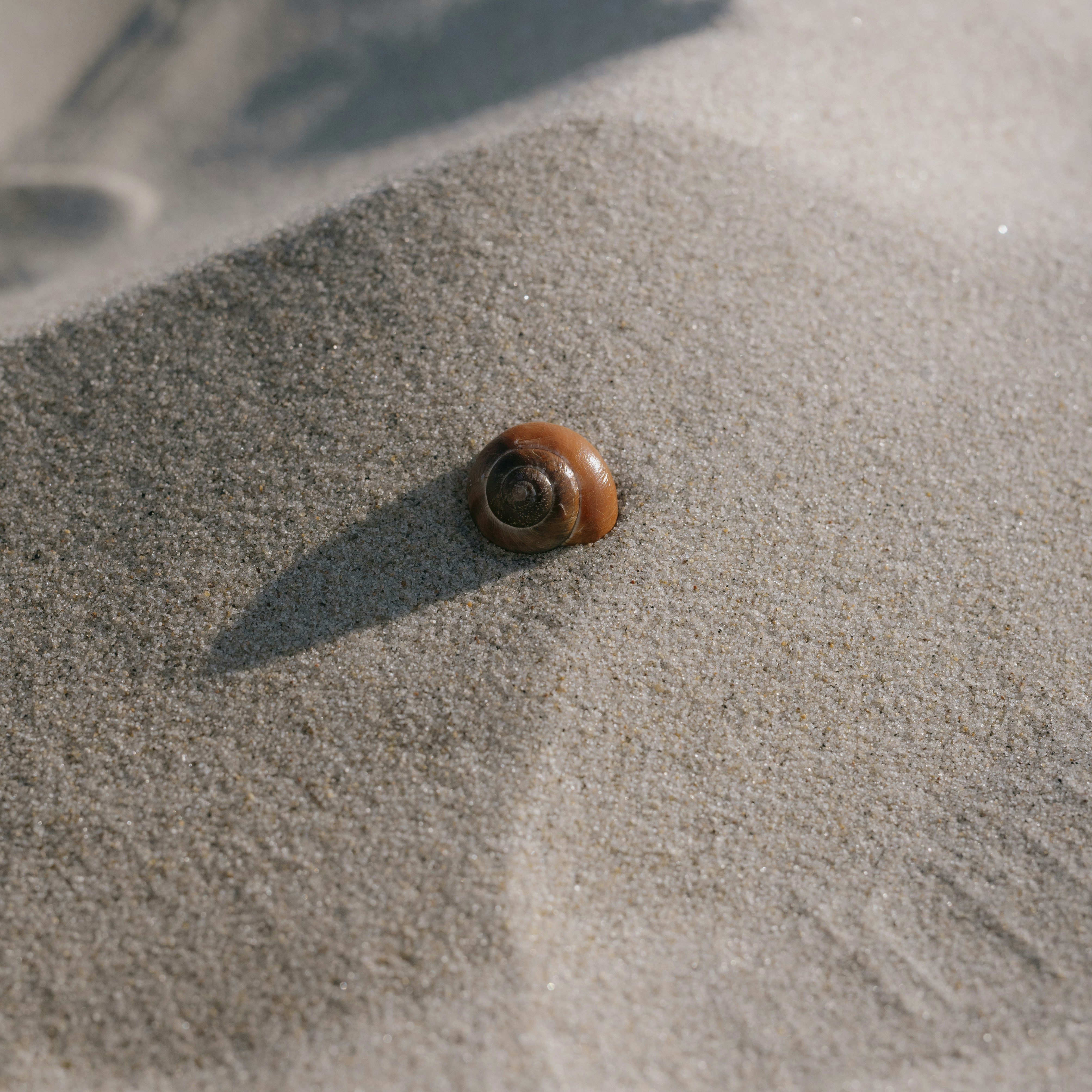 Photo by huntercreatesthings