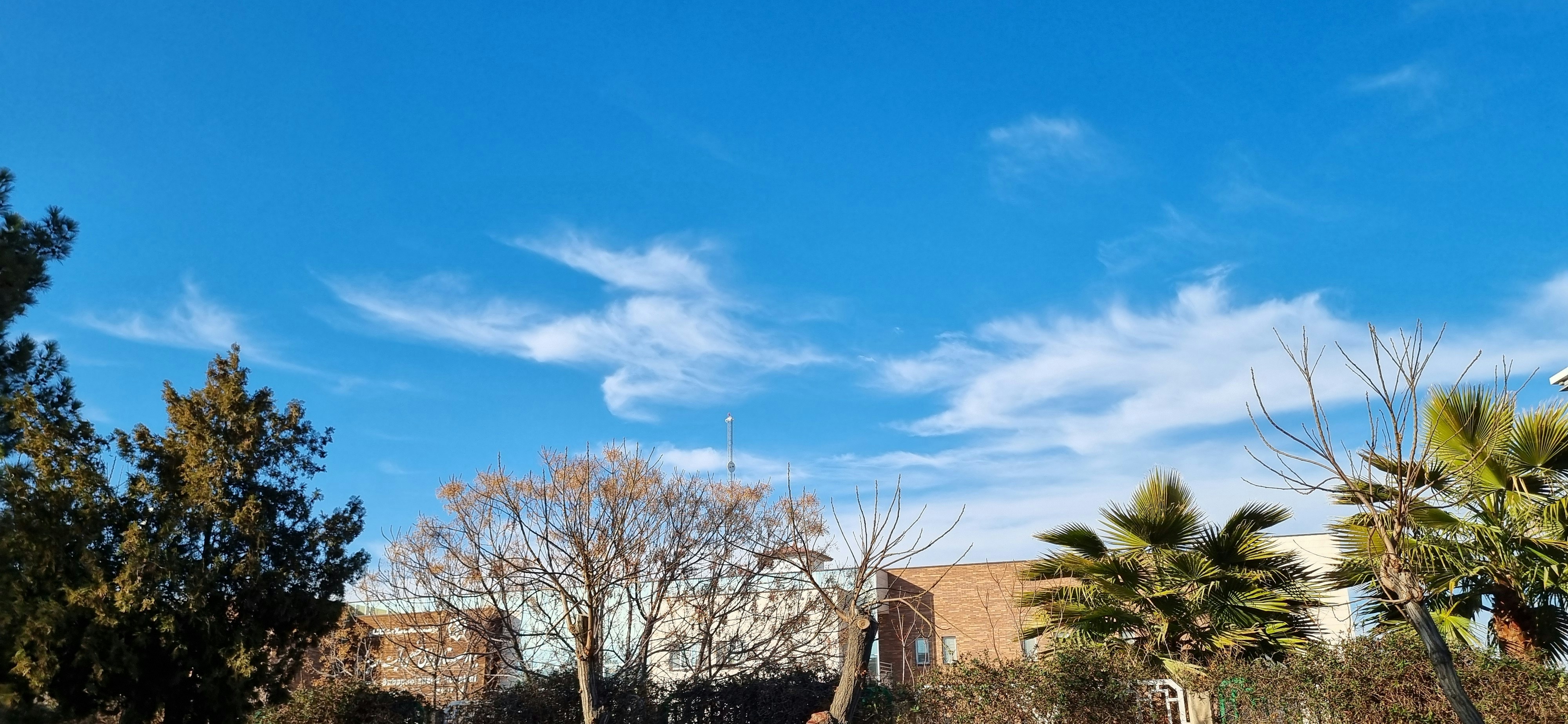 Photo by moonlightdaughterlens