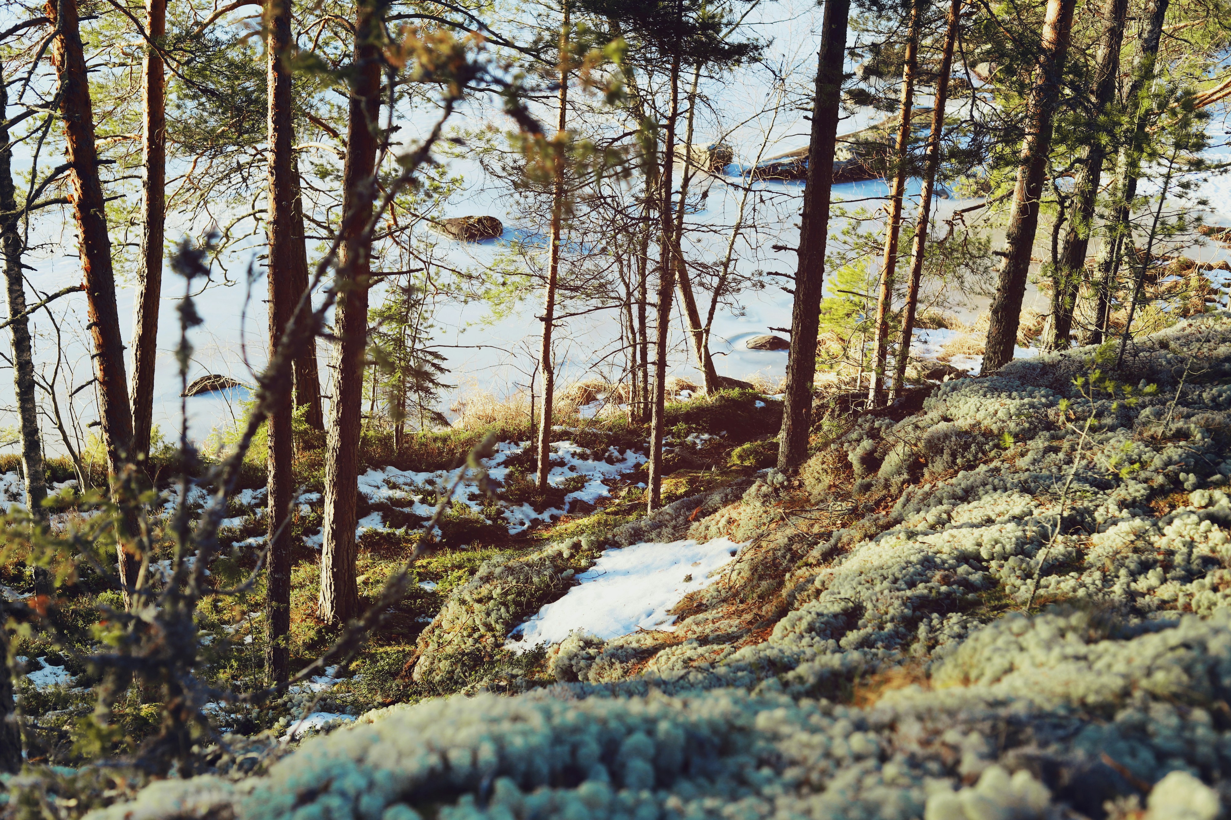 Finland