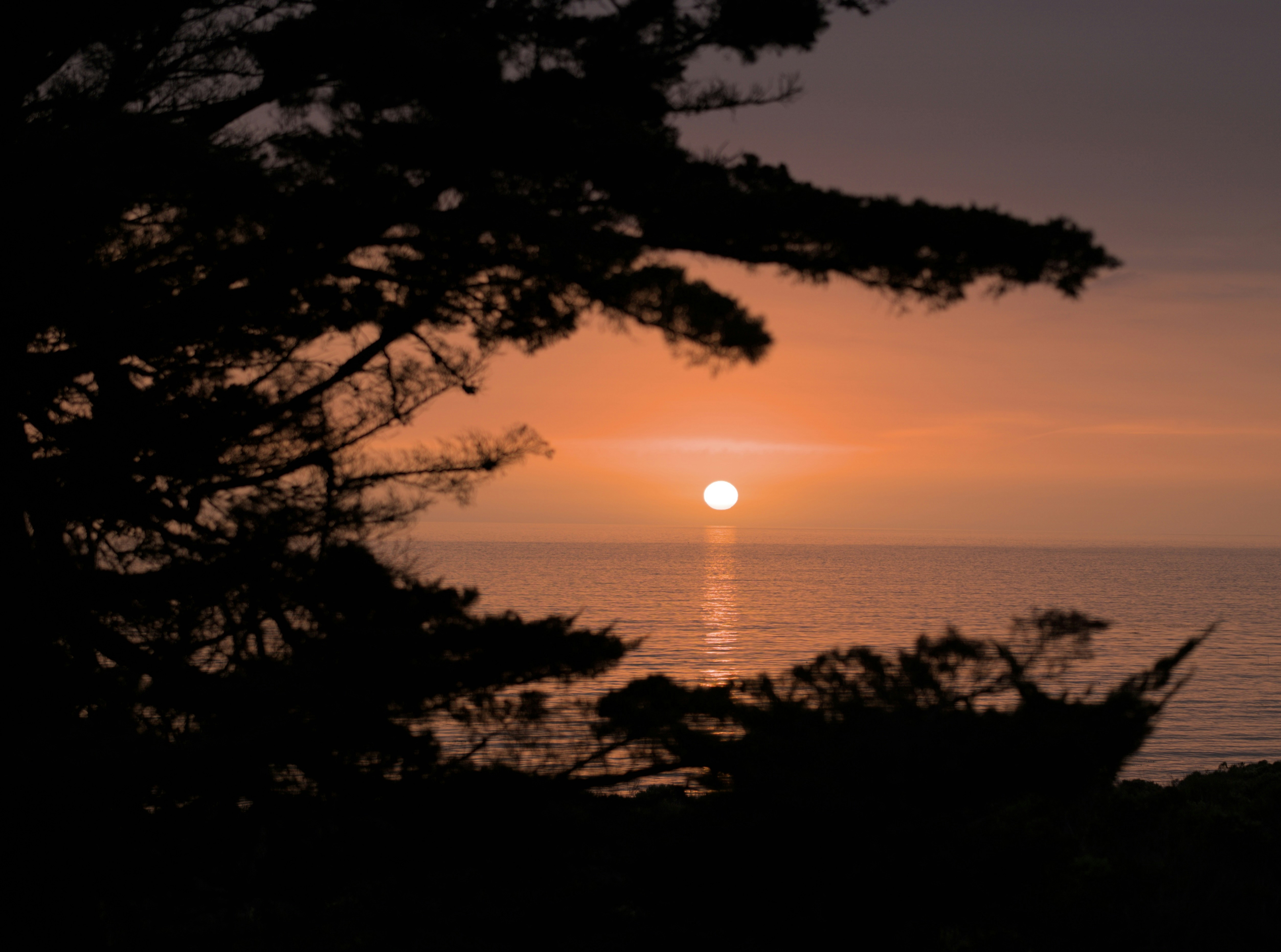 Photo by cam_cameras