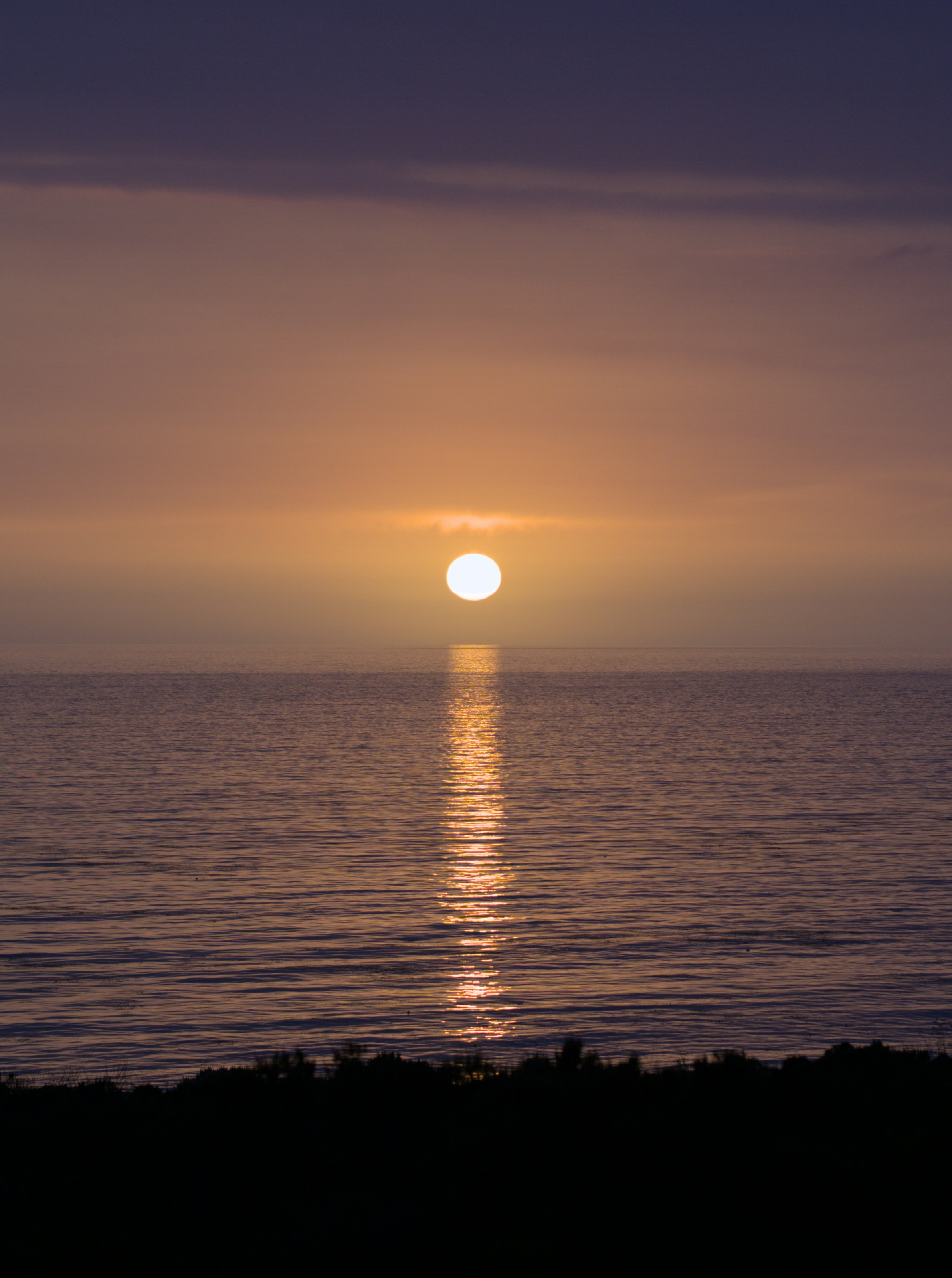 Photo by cam_cameras