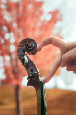 Love for the violin, heart-shaped with fingers.
