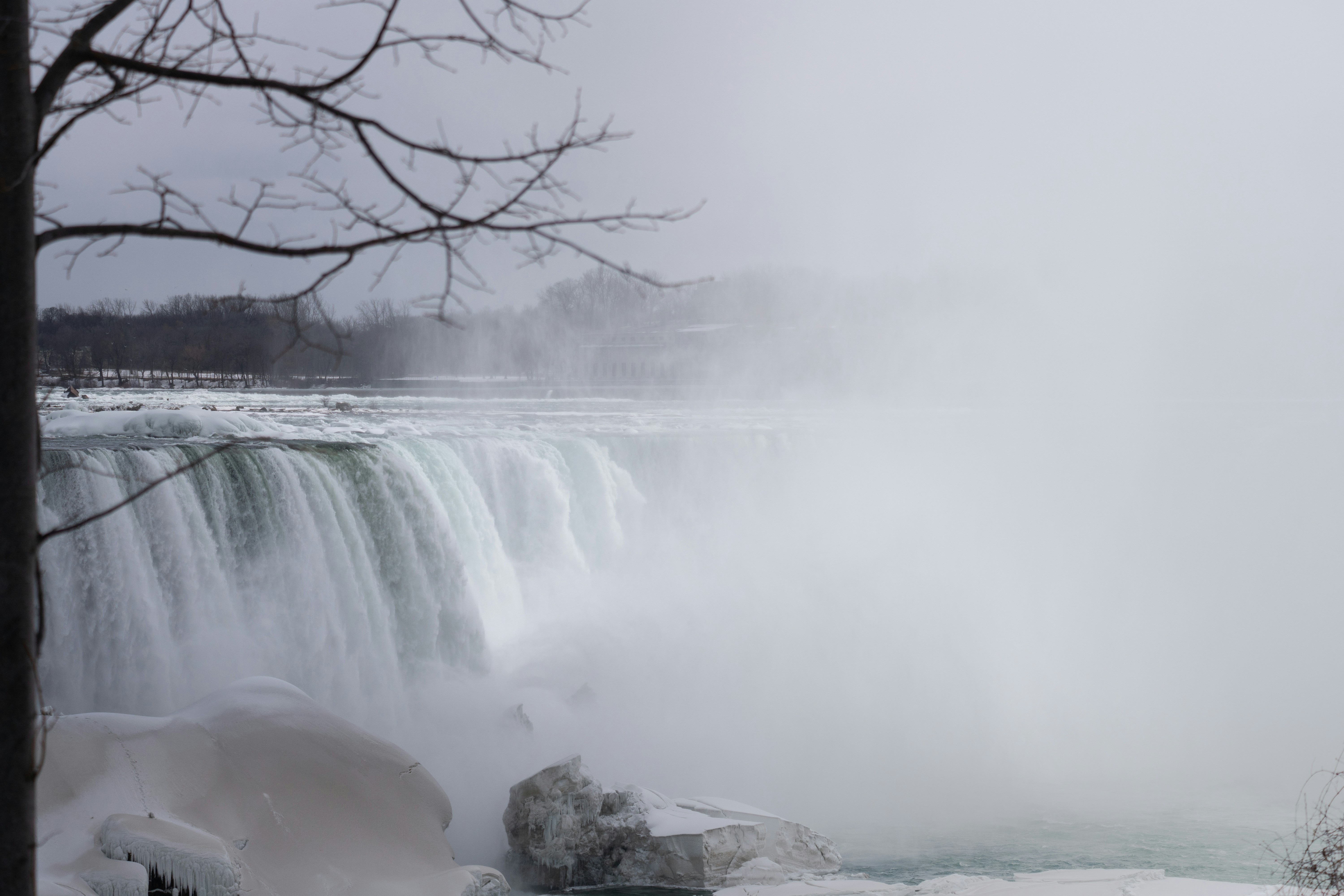 Photo by tog_photography