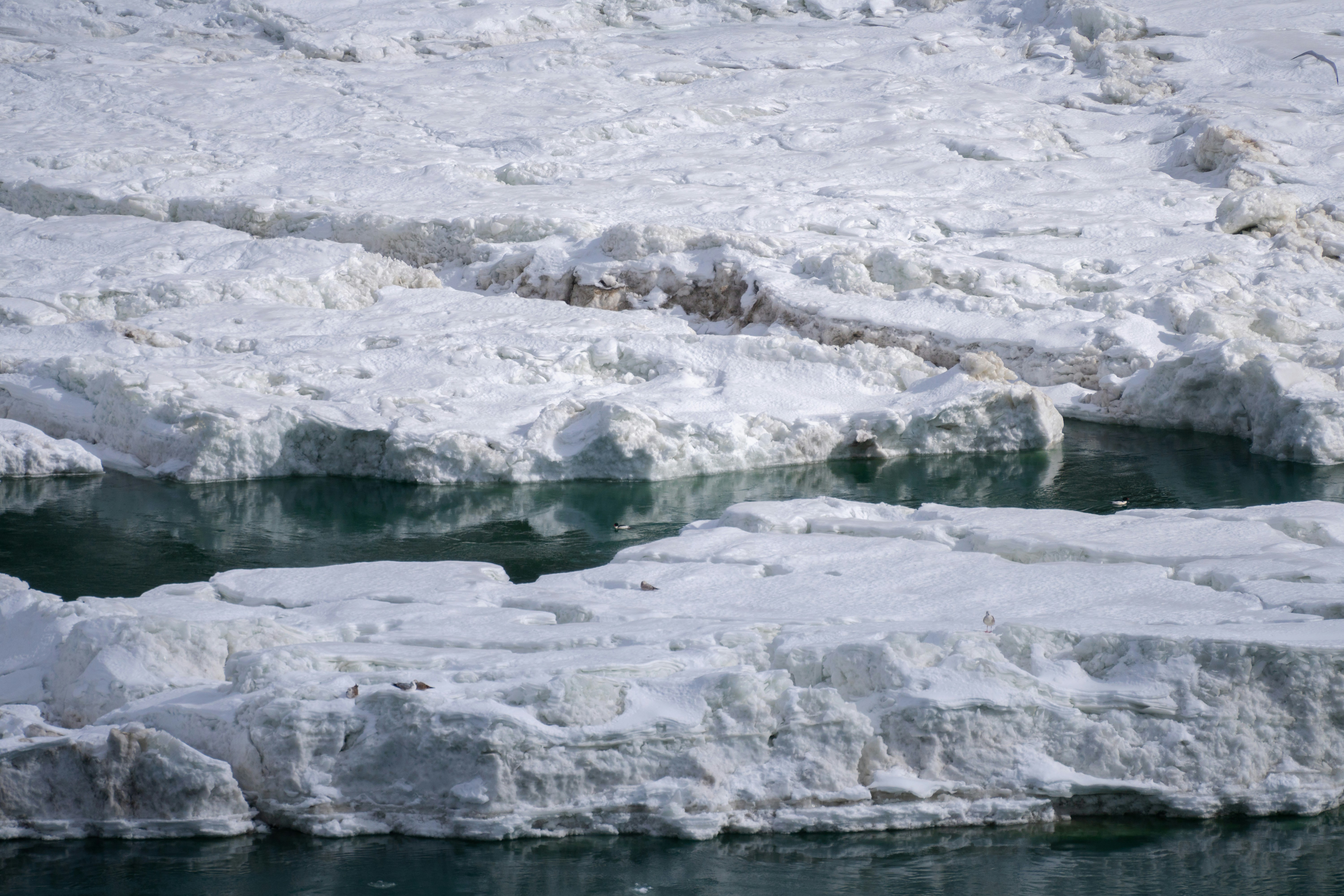 Photo by tog_photography