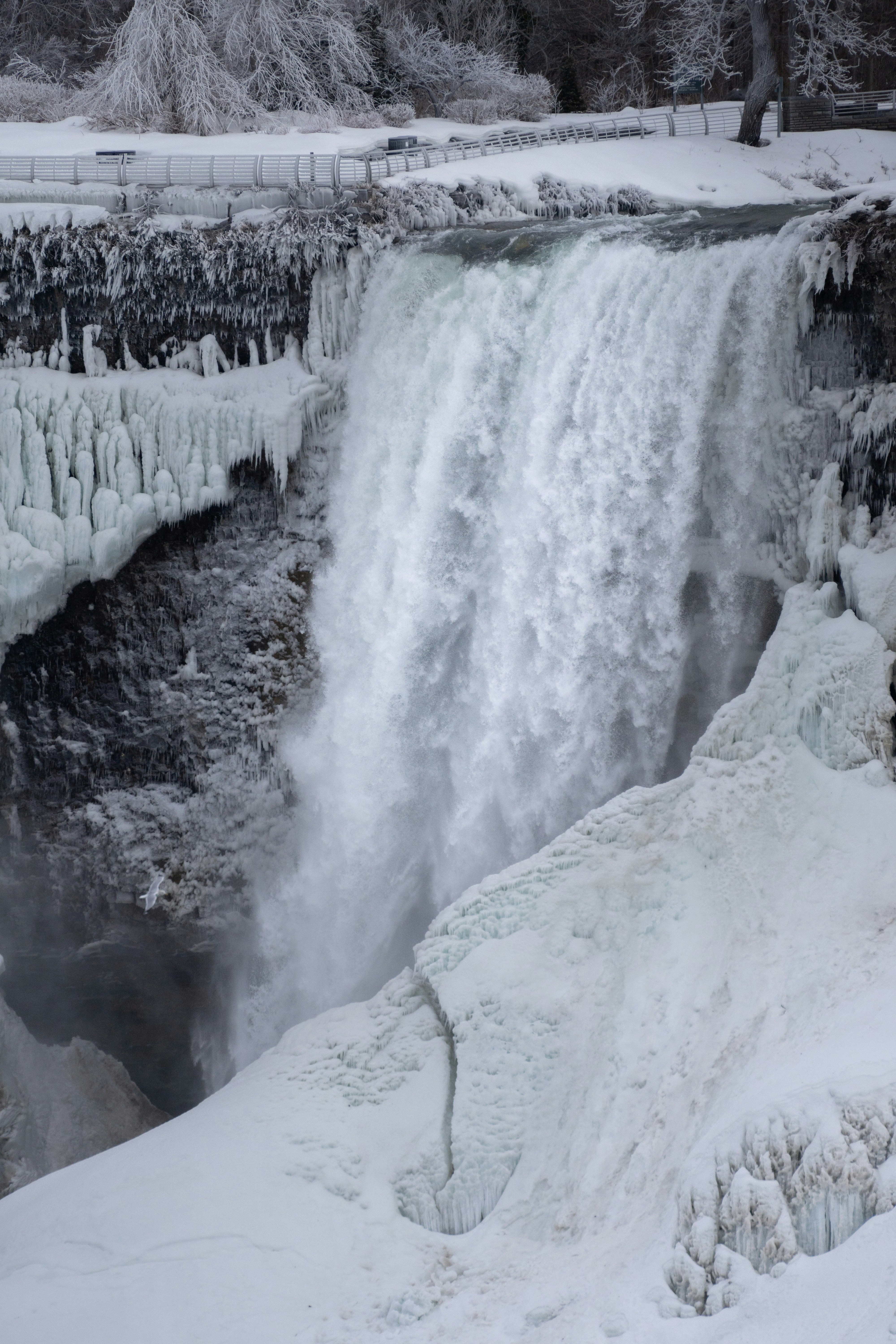 Photo by tog_photography