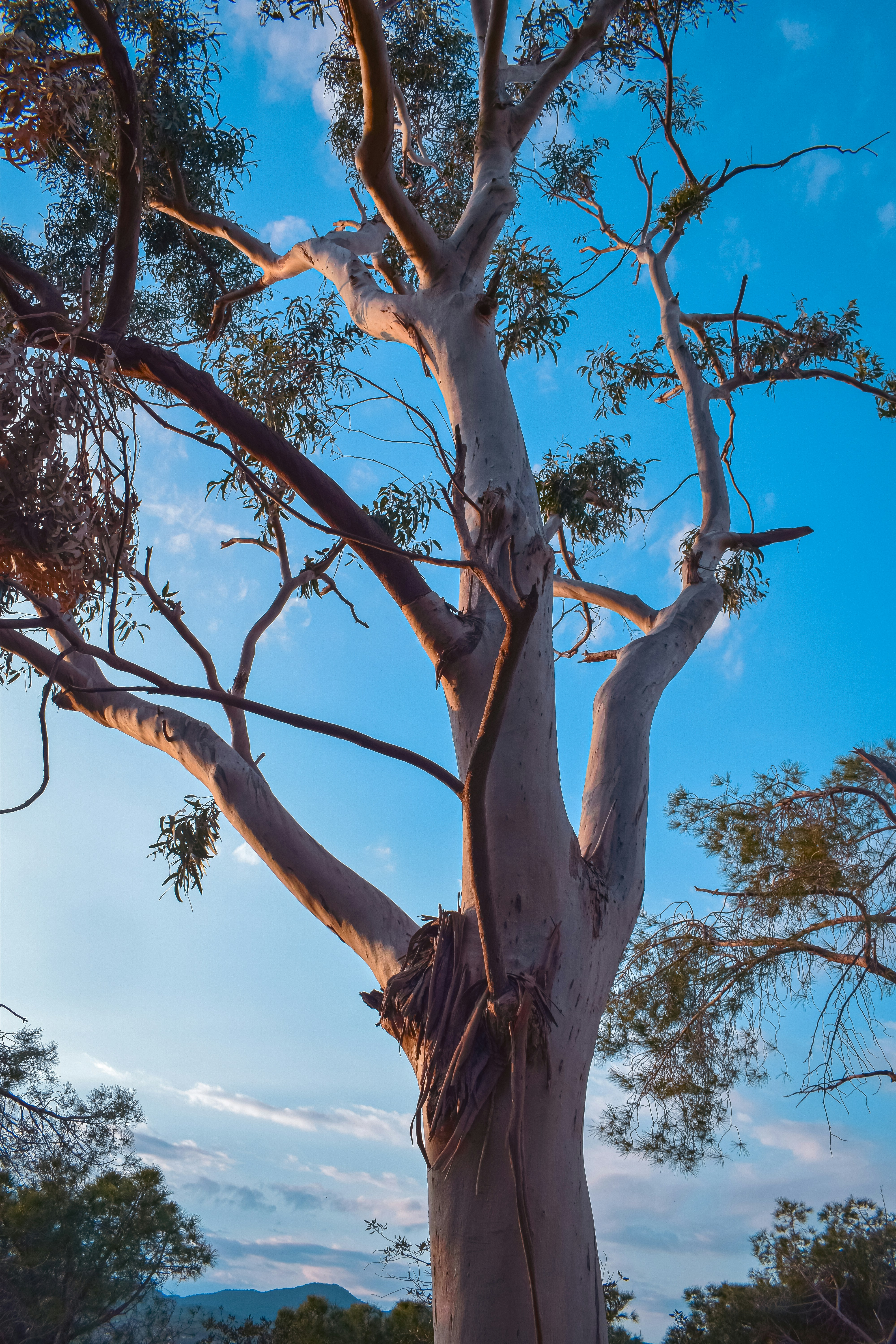 Photo by mariamgaiashvili