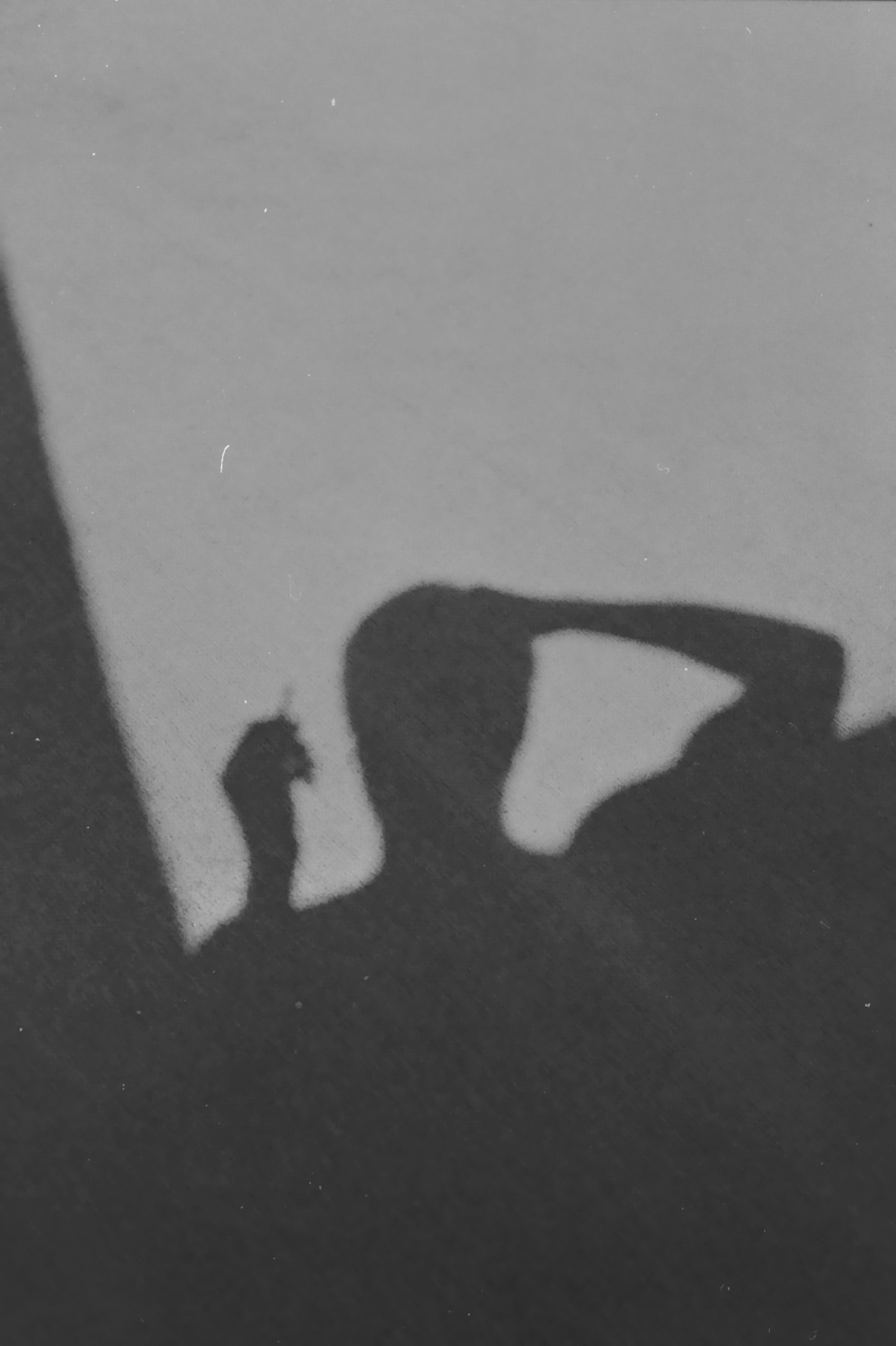 Shadows of a person on a surface.