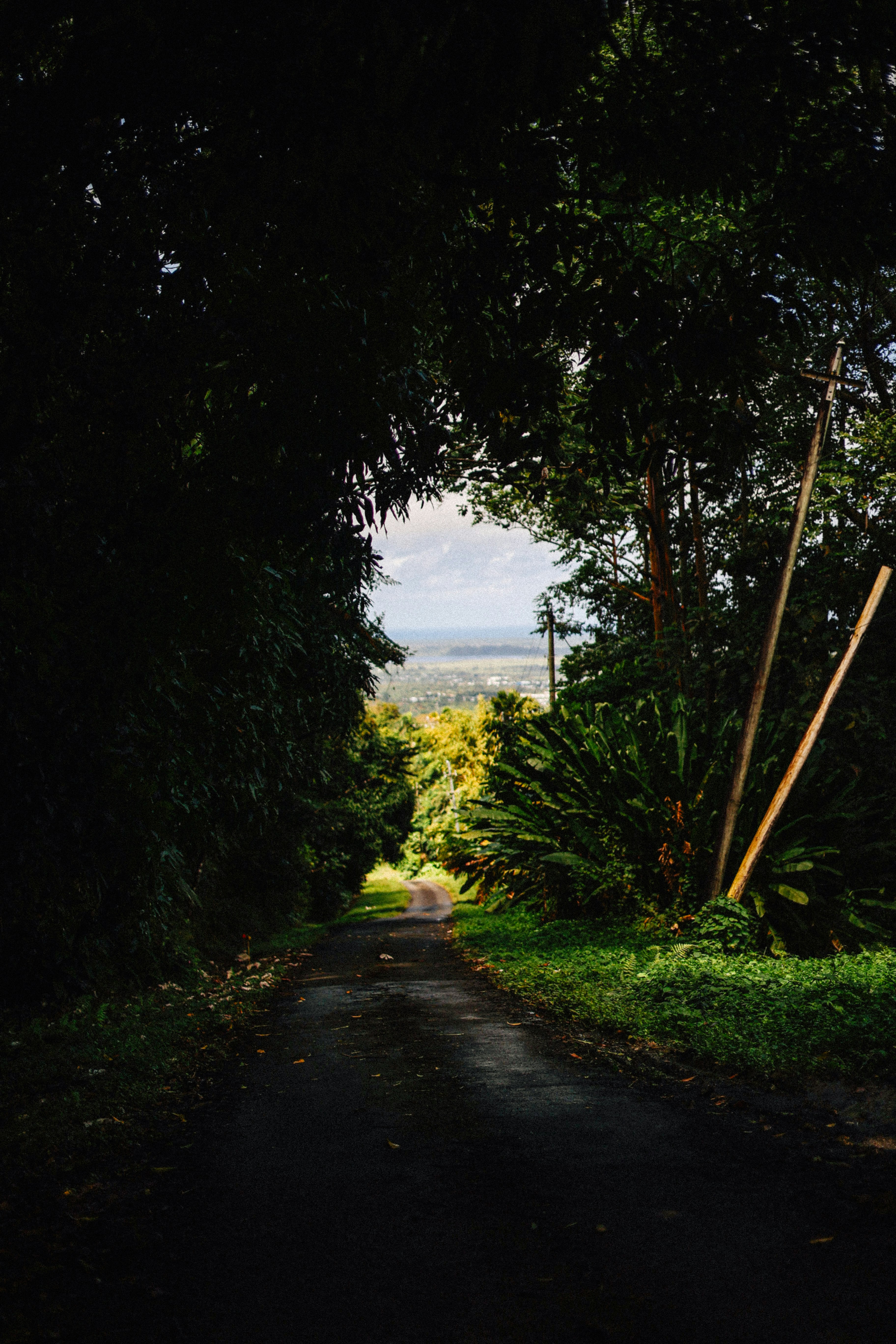 Photo by brookebalentine