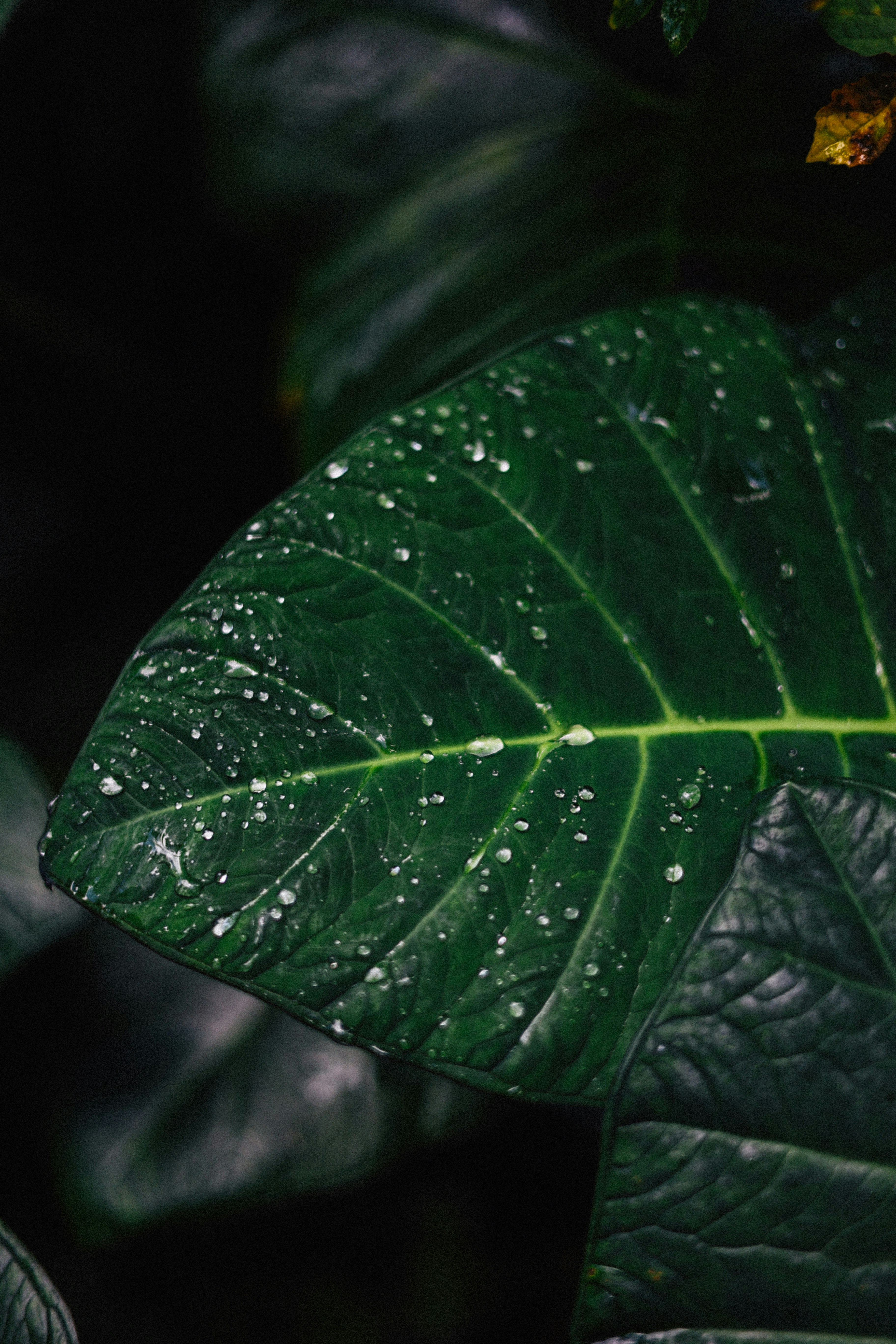 Photo by brookebalentine