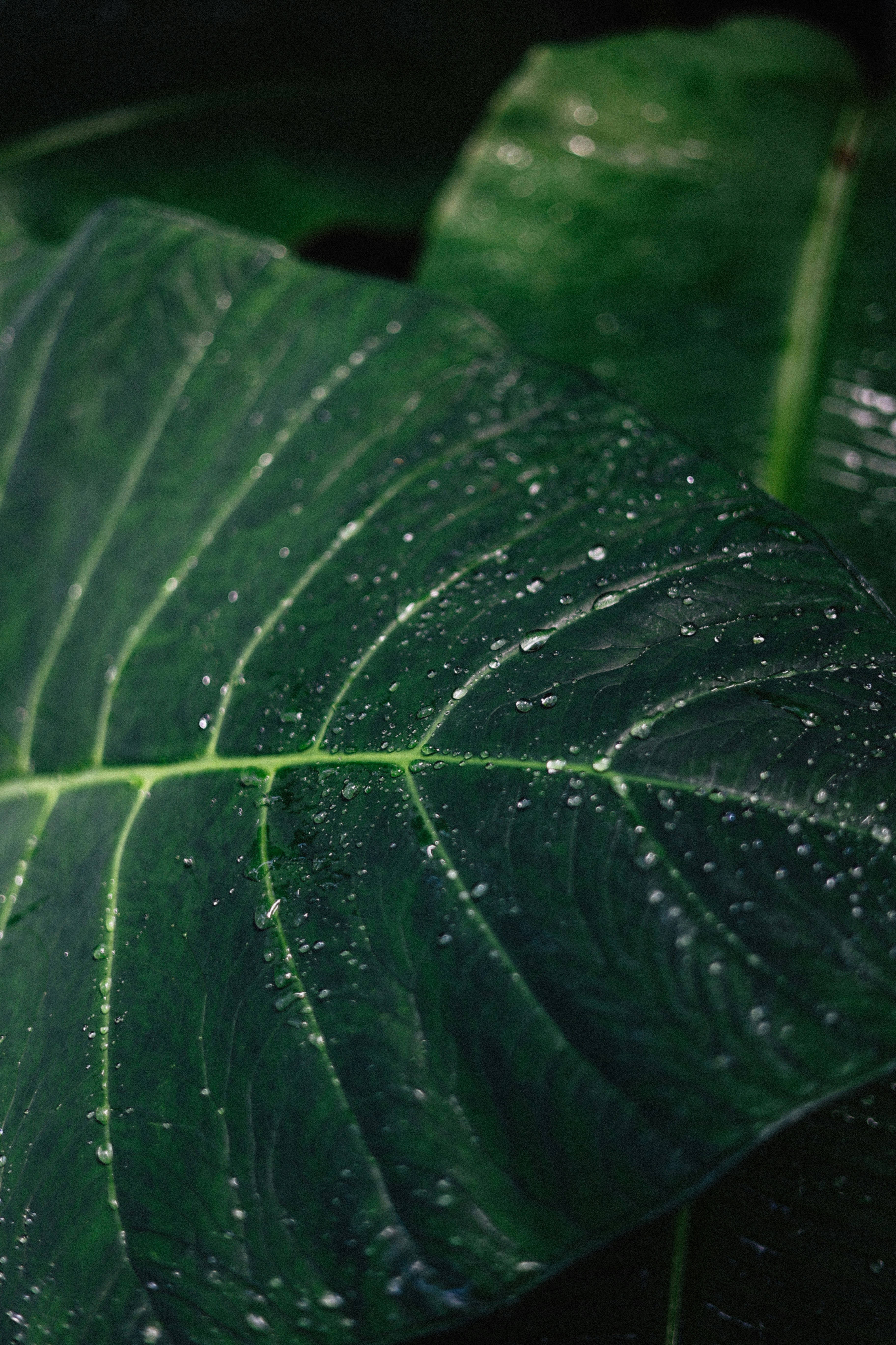 Photo by brookebalentine