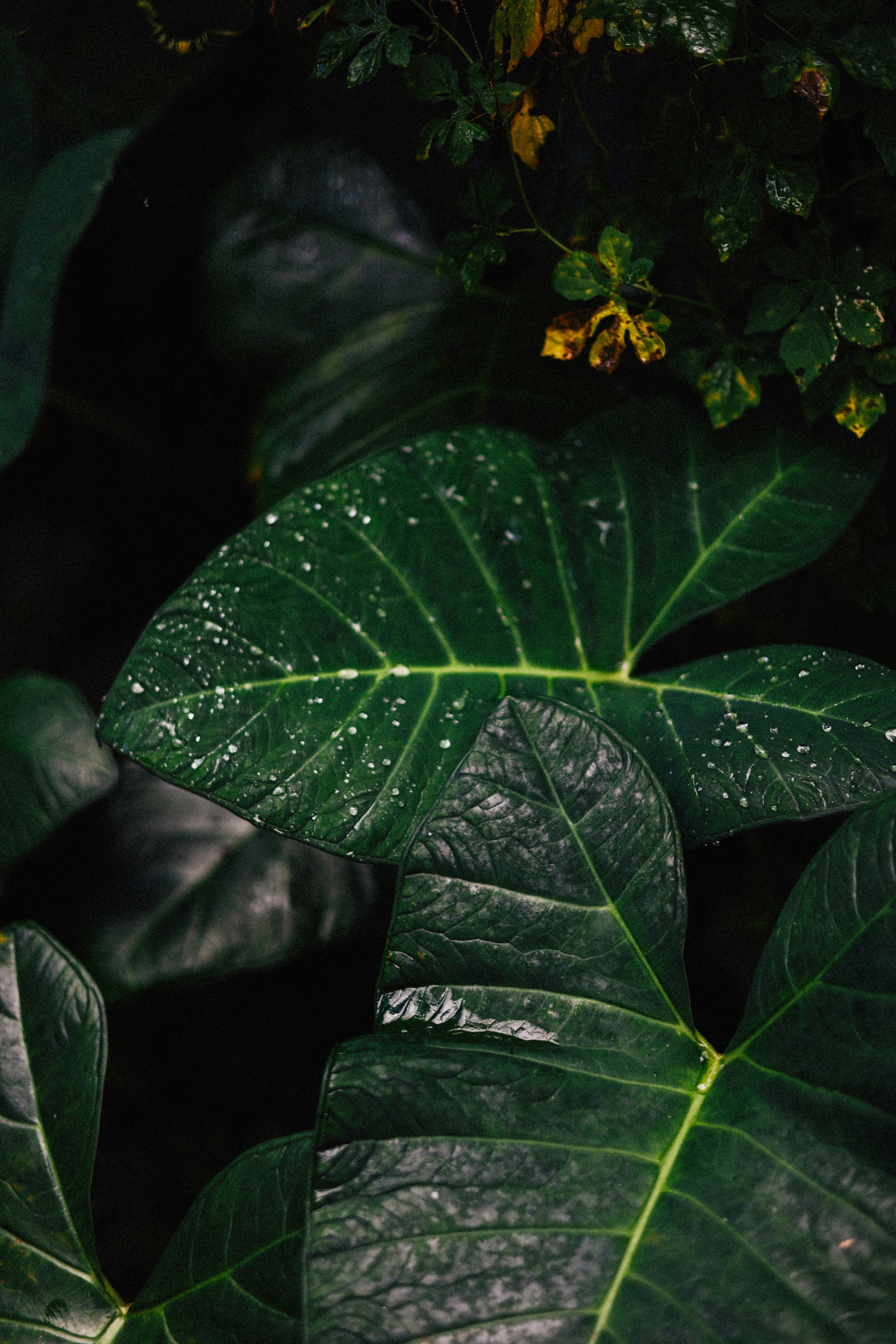 Photo by brookebalentine